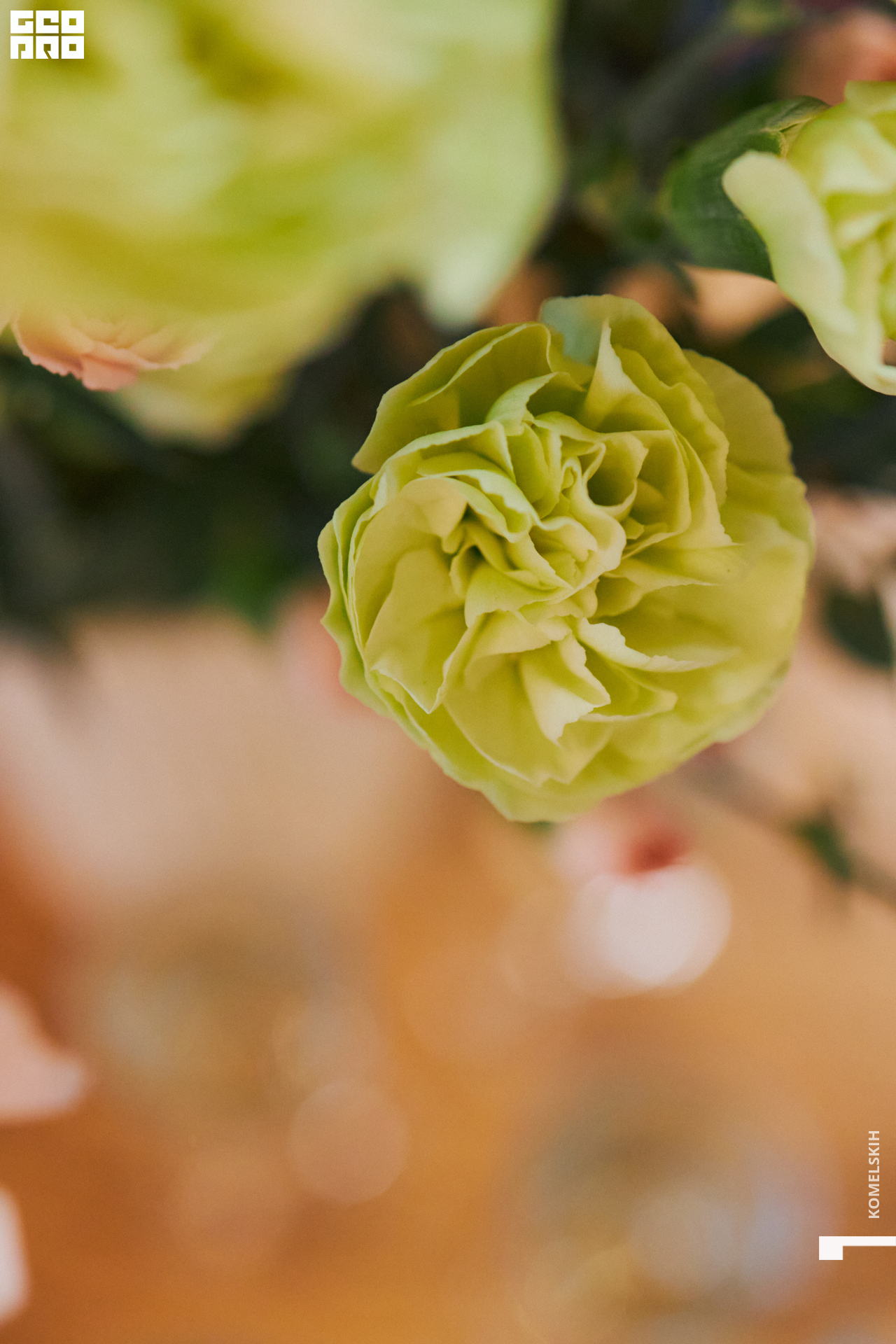 007-2022_11_01-12-57-29 - Komelskih.jpg