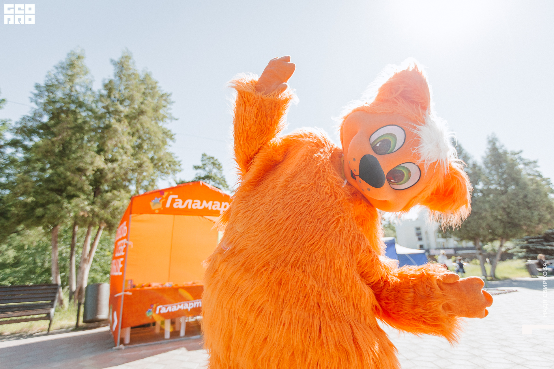 012_2021-06-05 09-58-56 ISAEVA.jpg