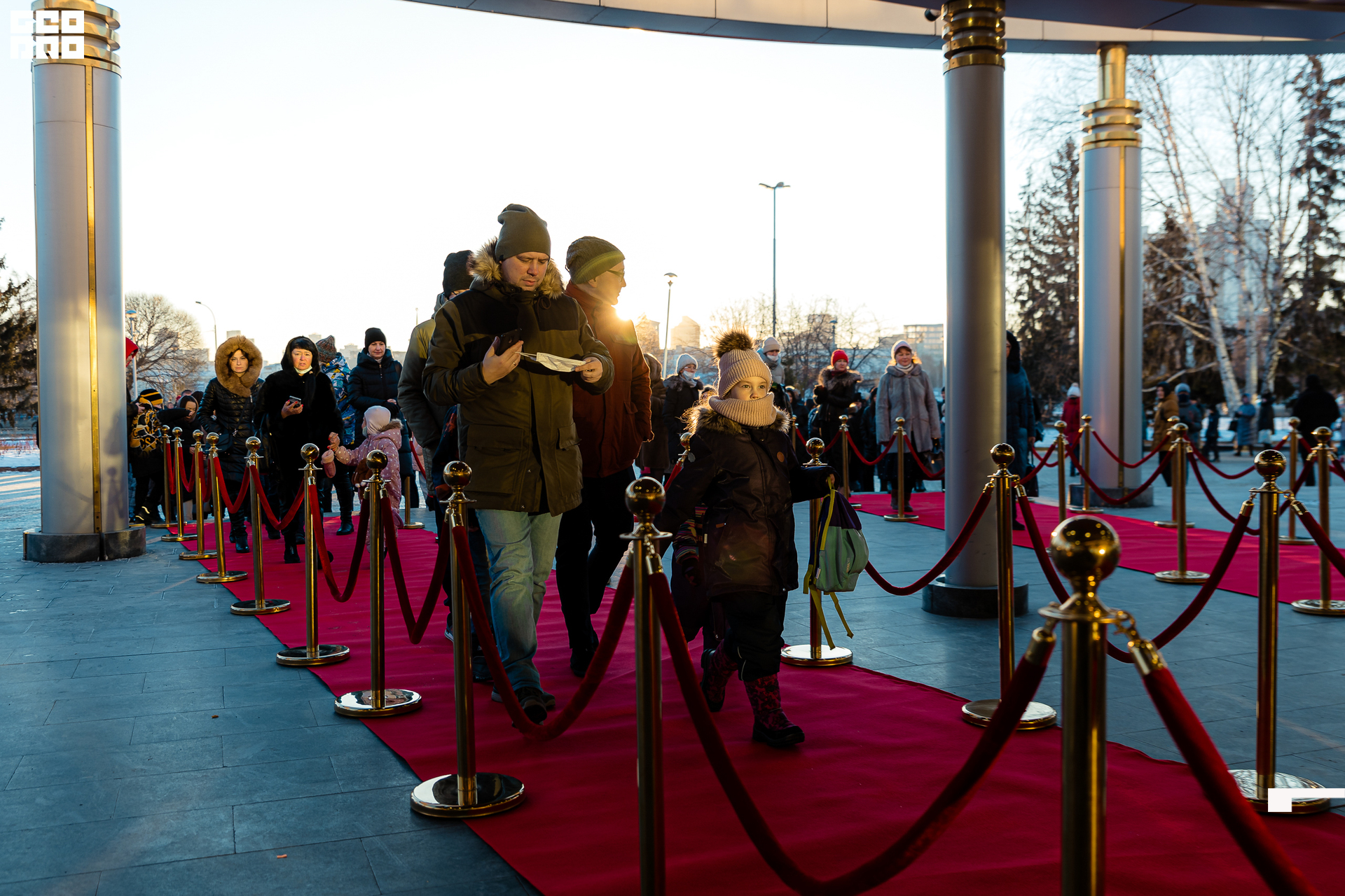 001-20211211-04-11.12.21 - Ёлки.jpg