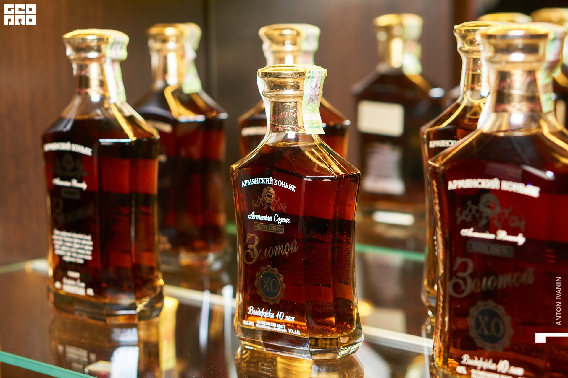 DSC08824 (Копировать).jpg