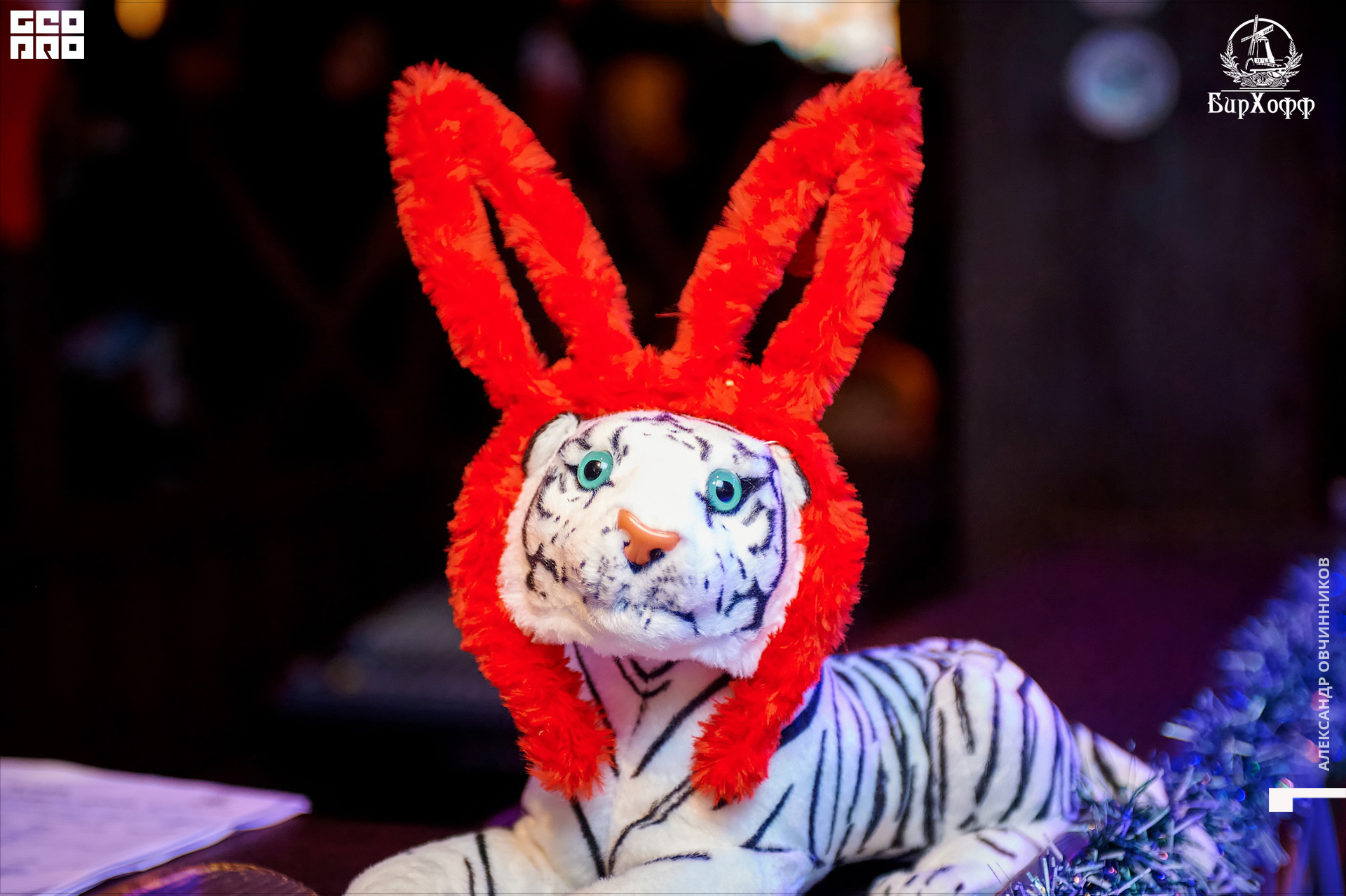 Фото 088 копия.jpg