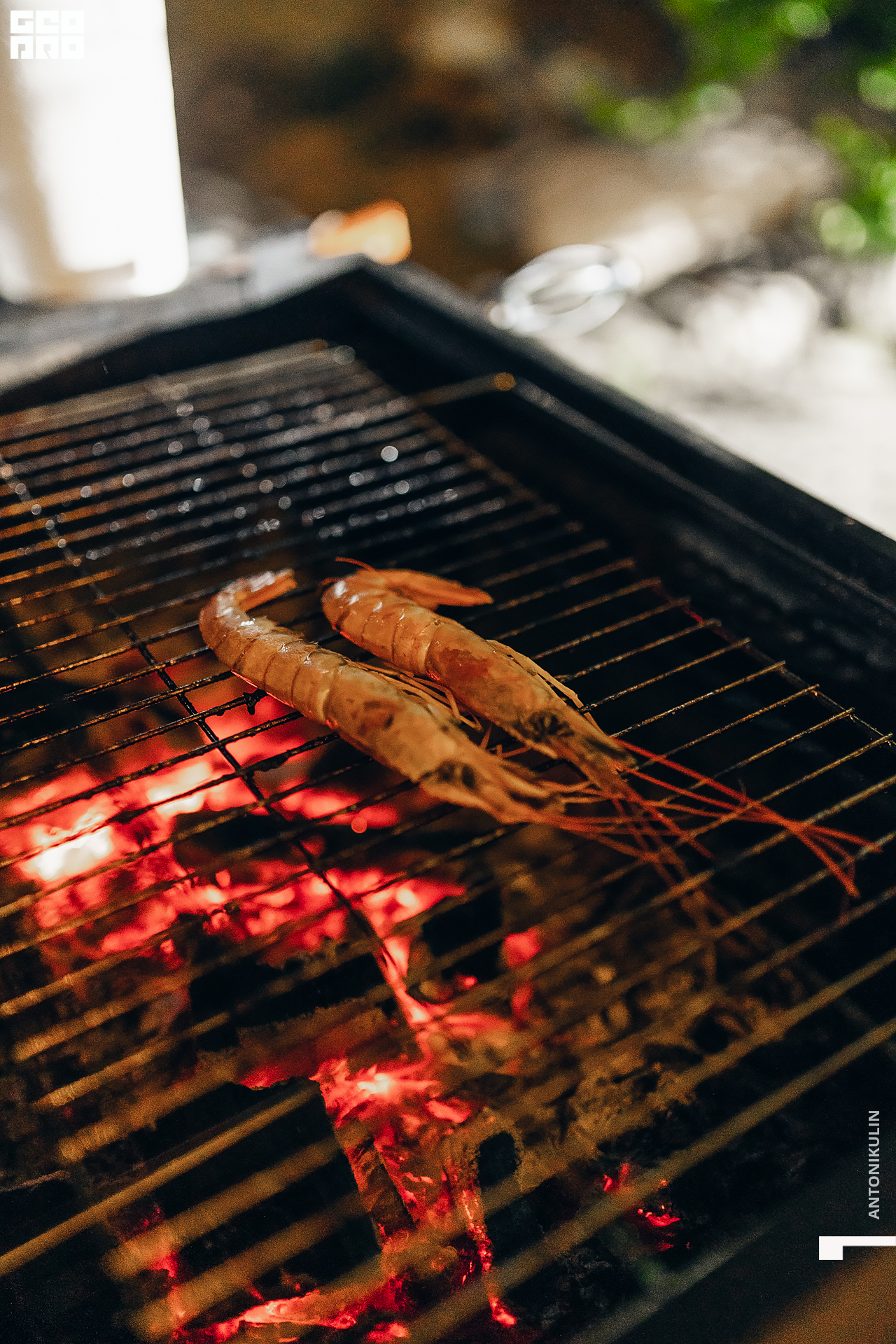 untitled shoot-9496.jpg