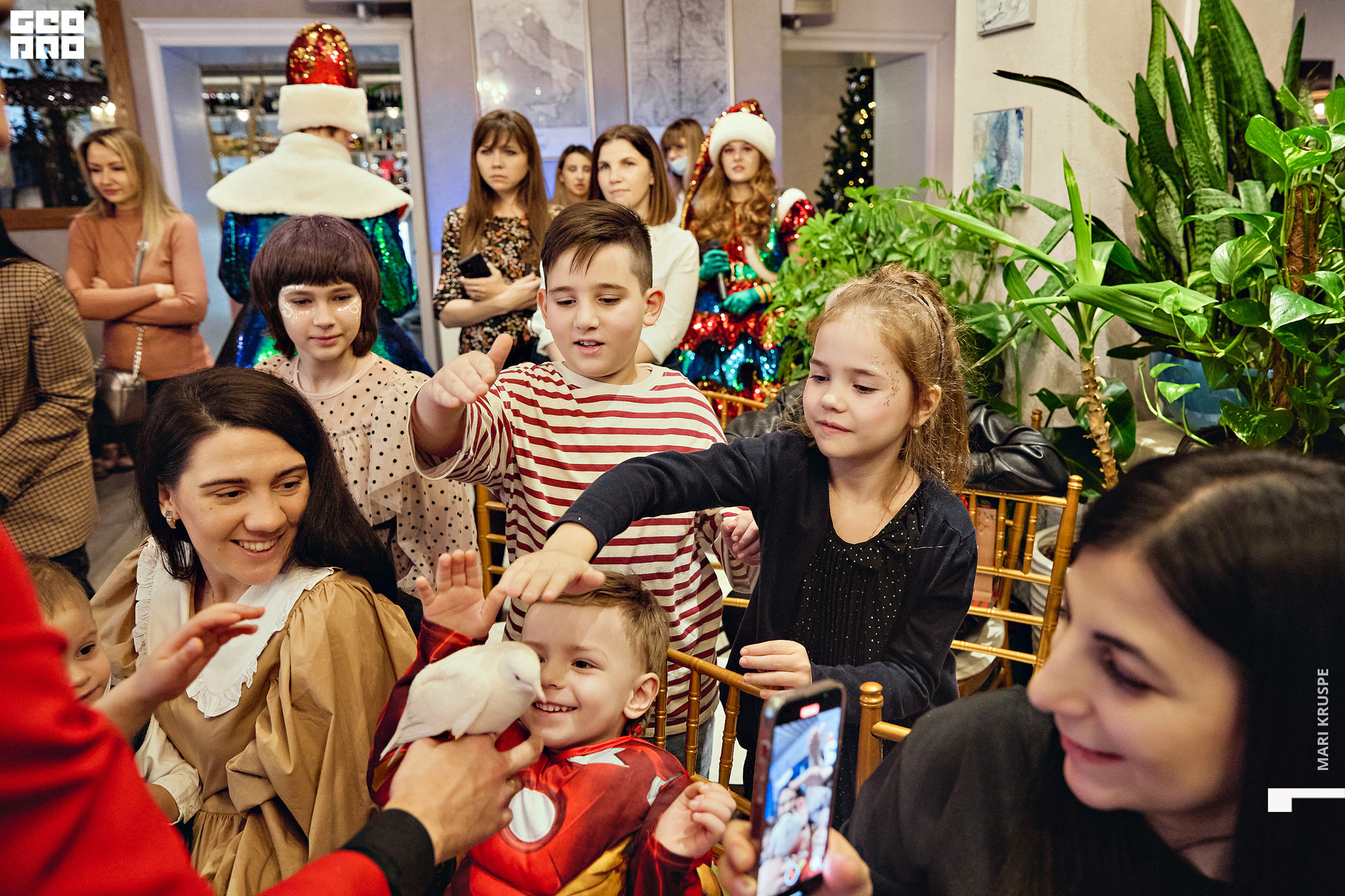 _MG_3664 копия.jpg