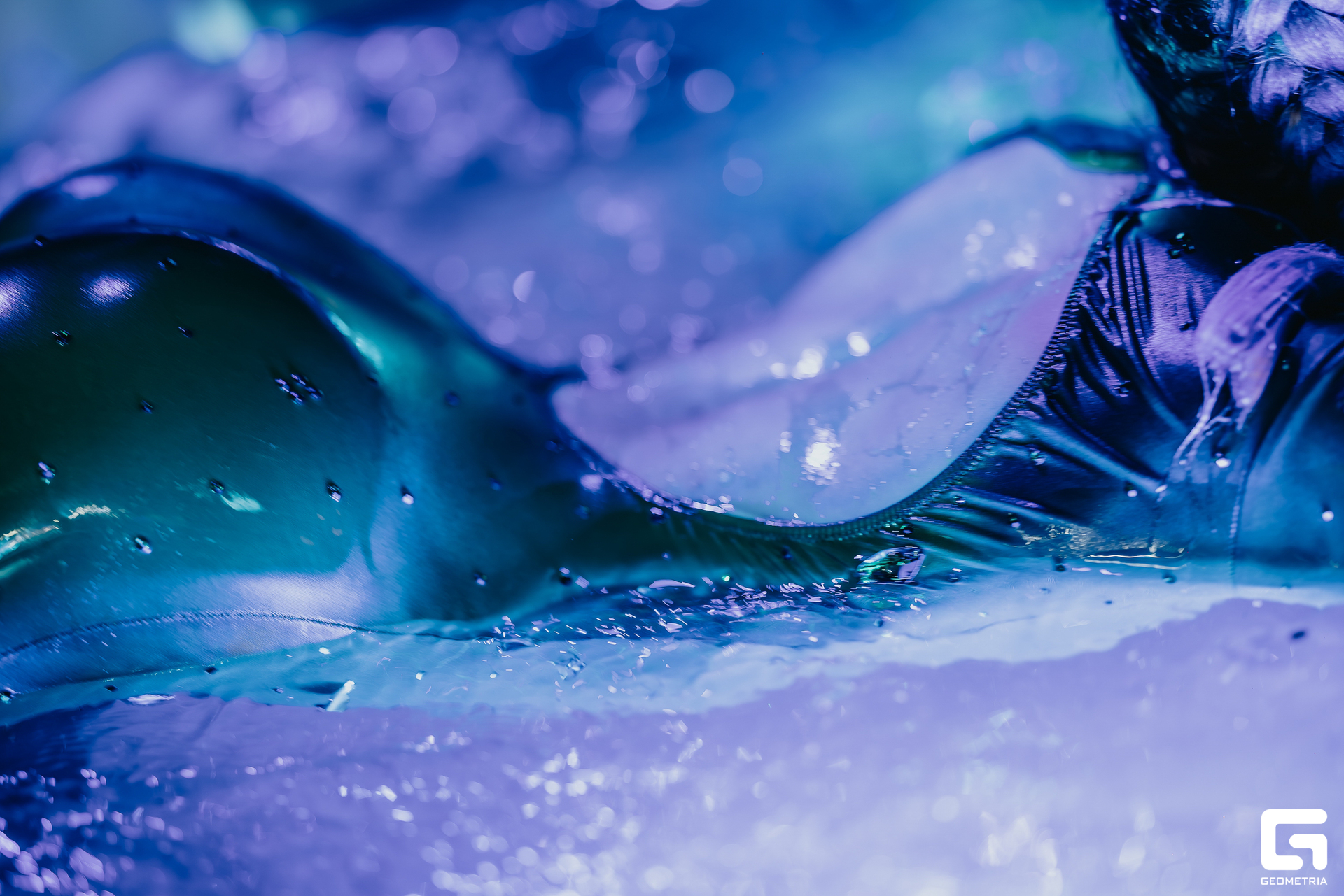 @dmitry_chuntul [White party 2025 NIGHTl]-0574.jpg