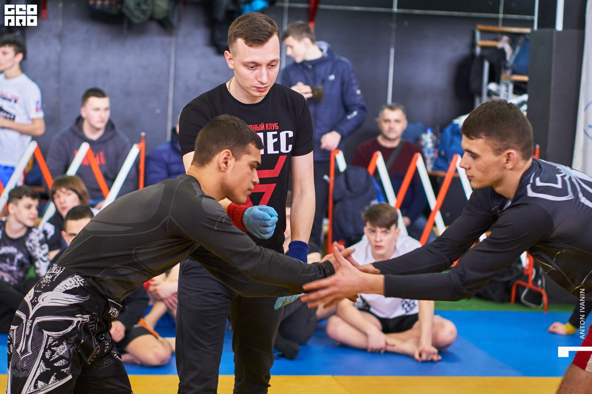 DSC09236 (Копировать).jpg