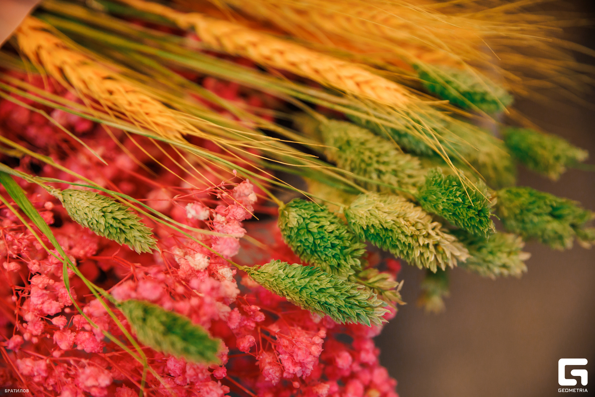 033 - 01_03_25 - 15_12_06 - Bratilov.jpg