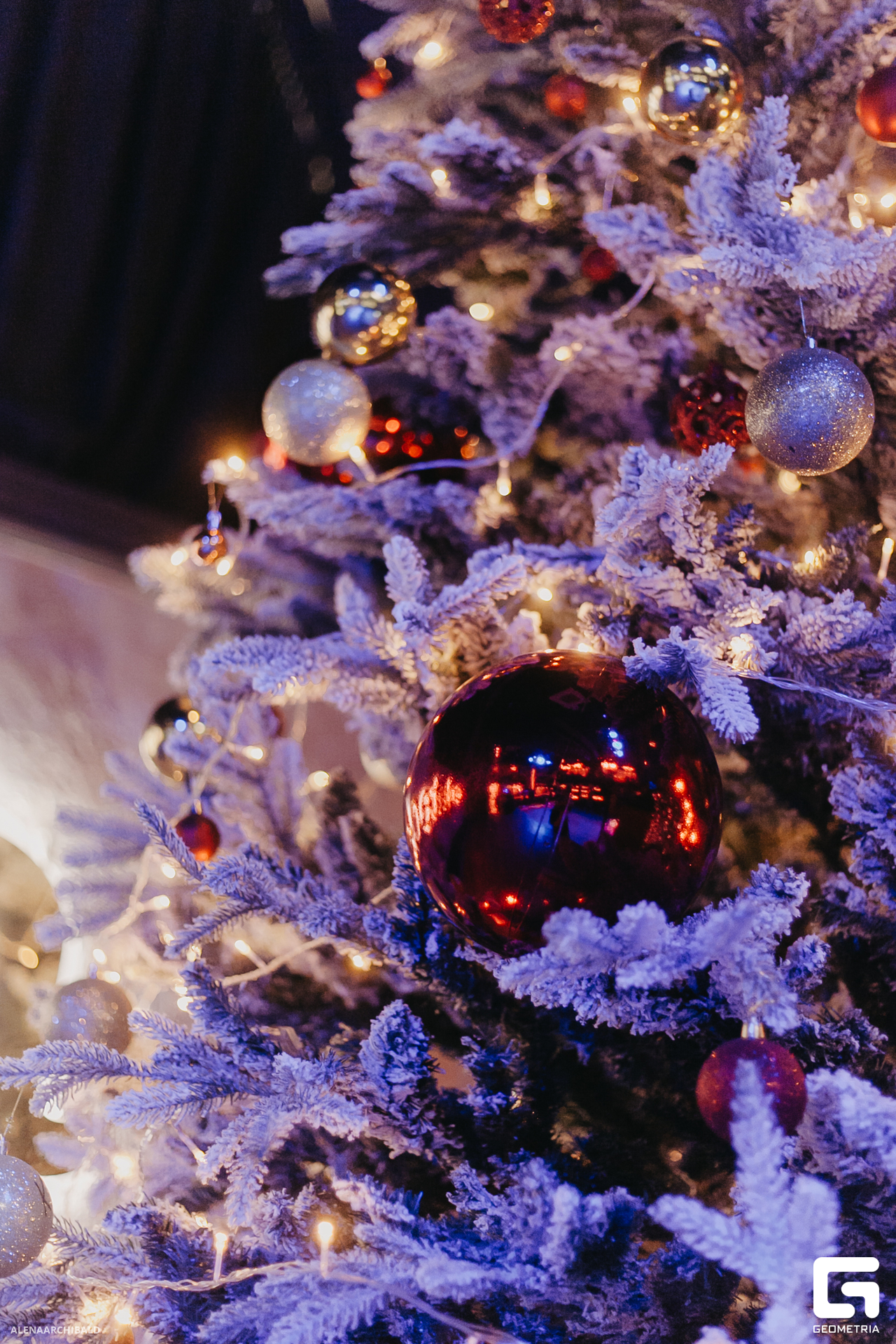 2023-12-08 20-00-38_alenaarchibald104.JPG