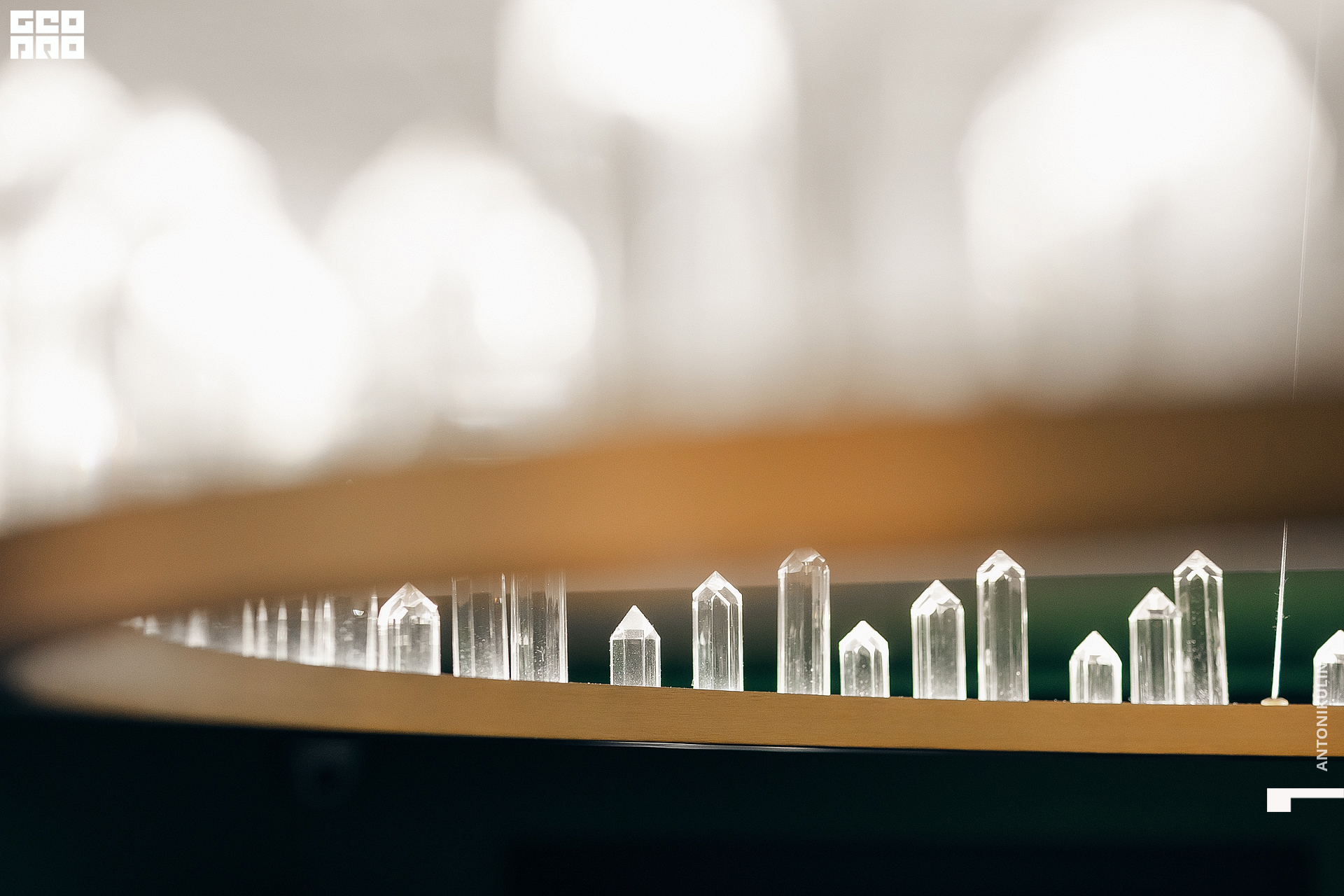 untitled shoot-1505.jpg