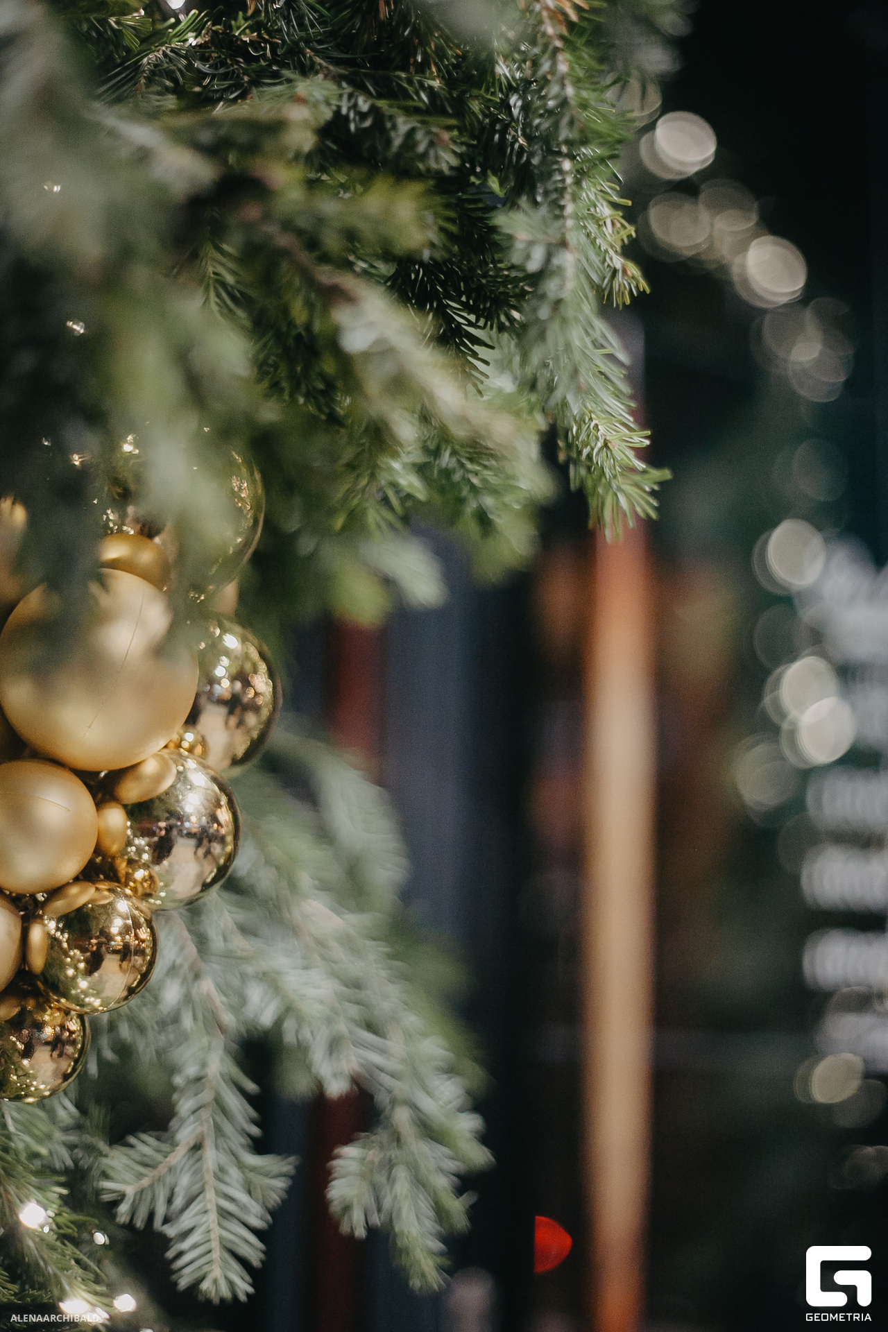 2023-11-24 22-00-46_alenaarchibald002.JPG