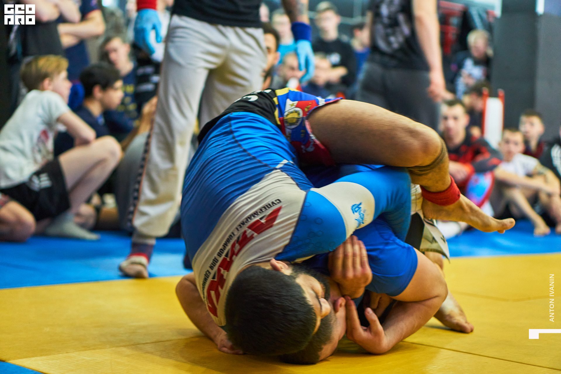 DSC08936 (Копировать).jpg