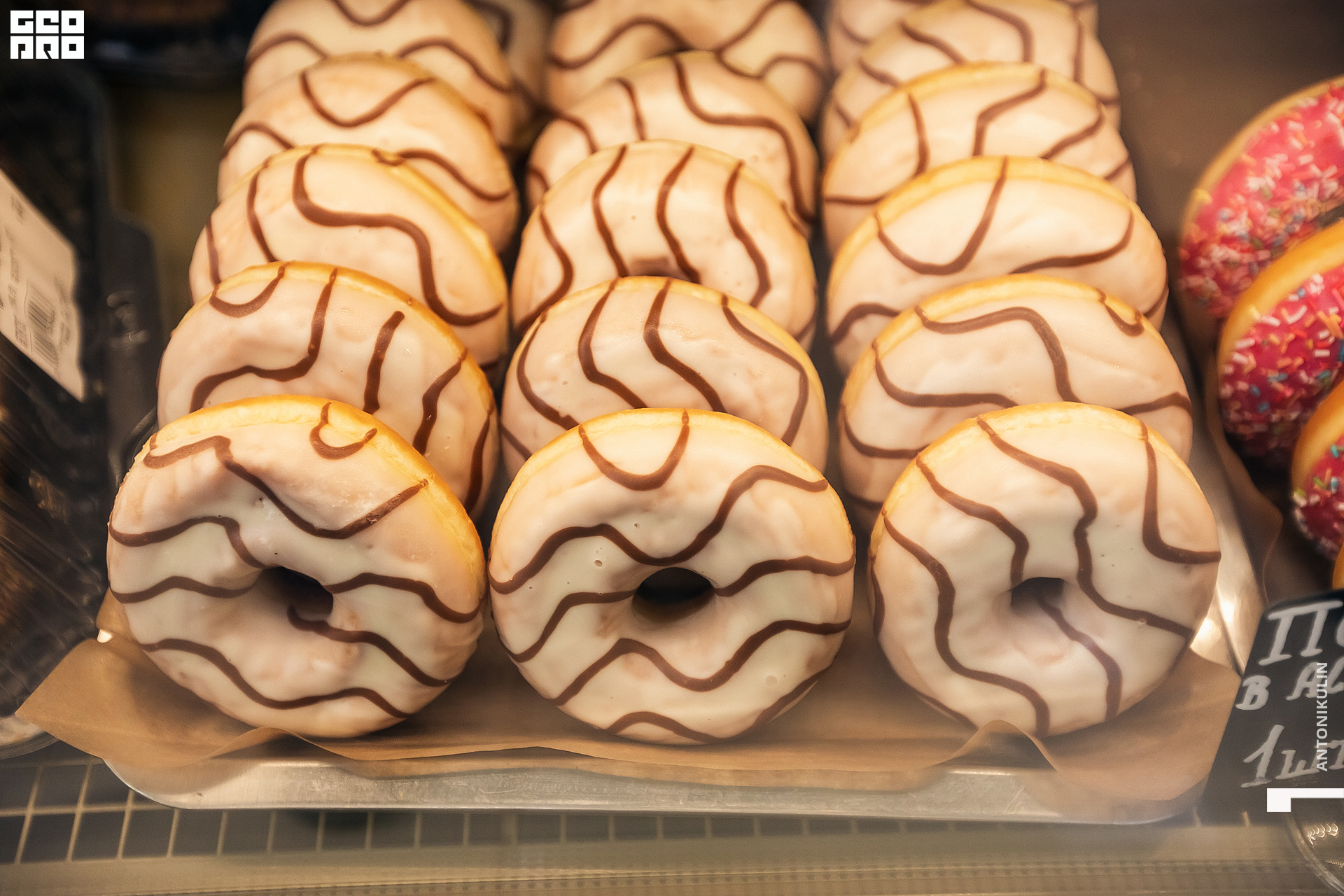 untitled shoot-9822.jpg