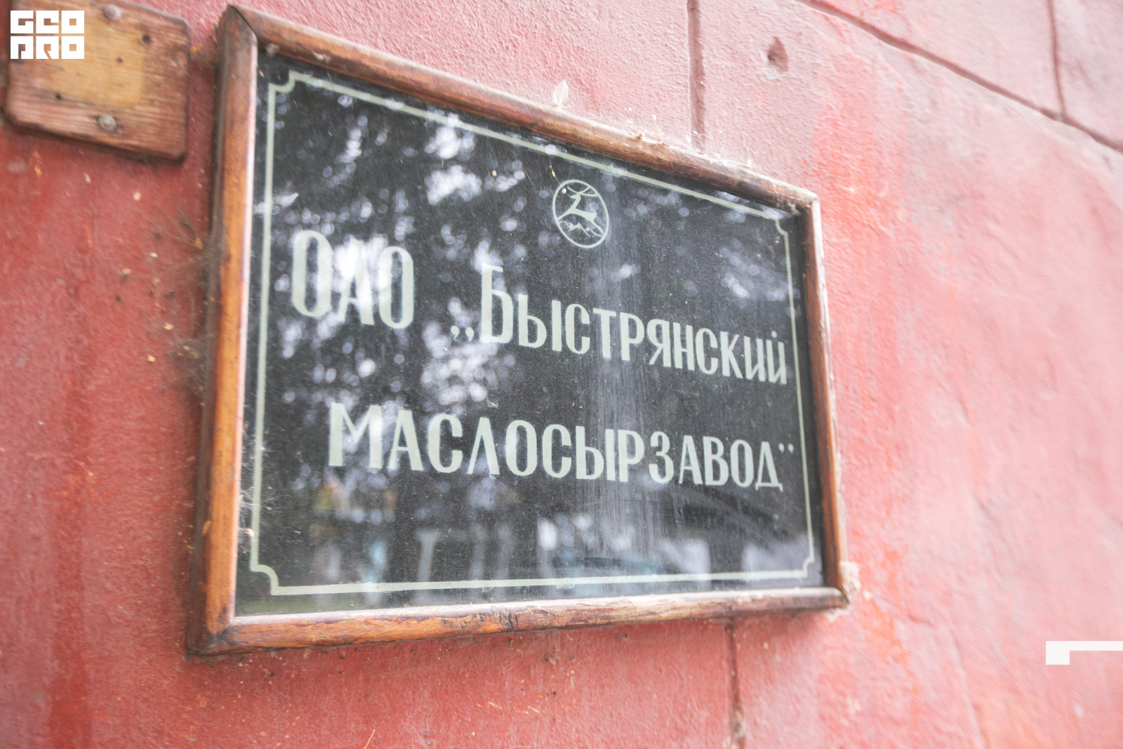 имвавы (1).JPG