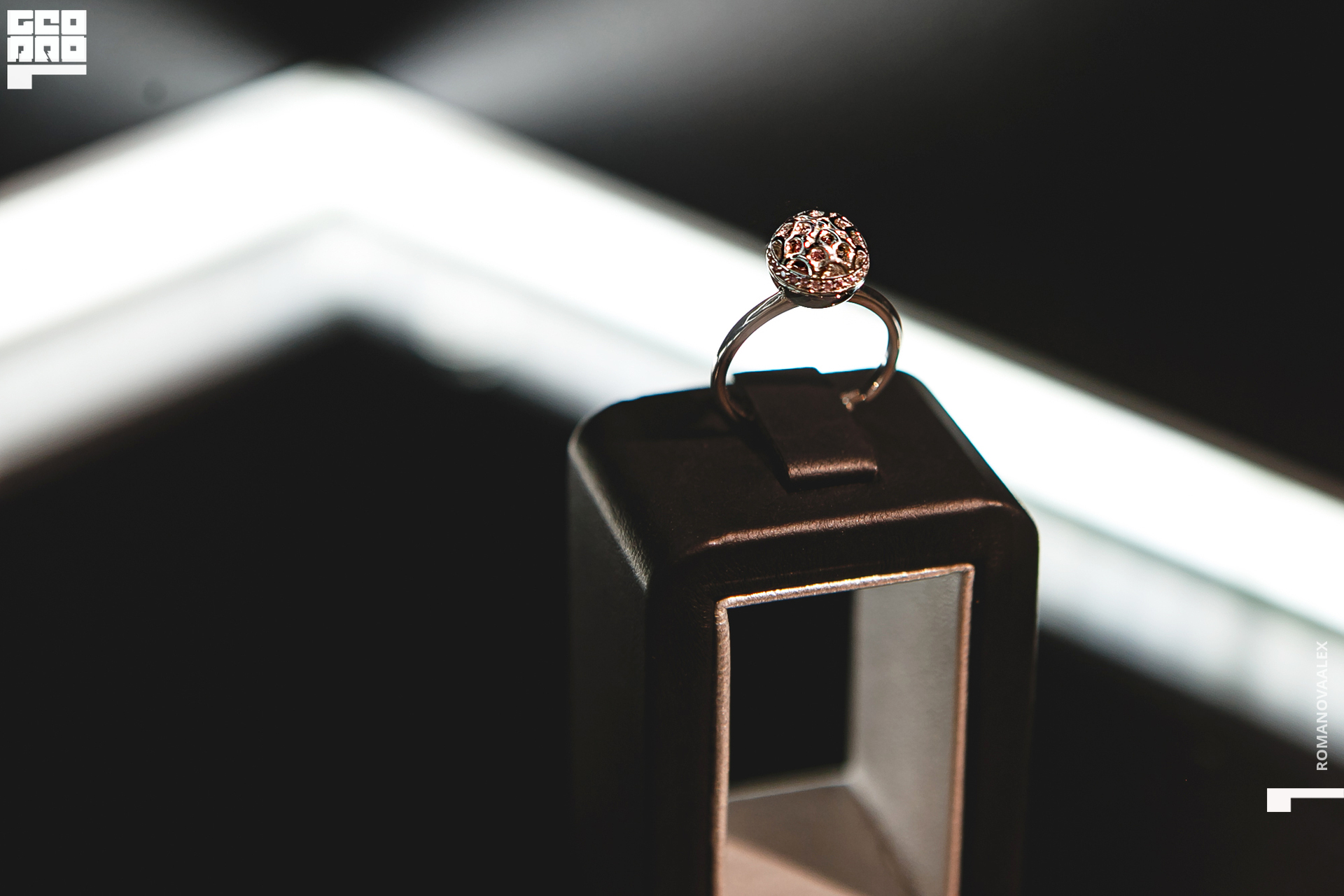 051201127 182618_Романова.jpg