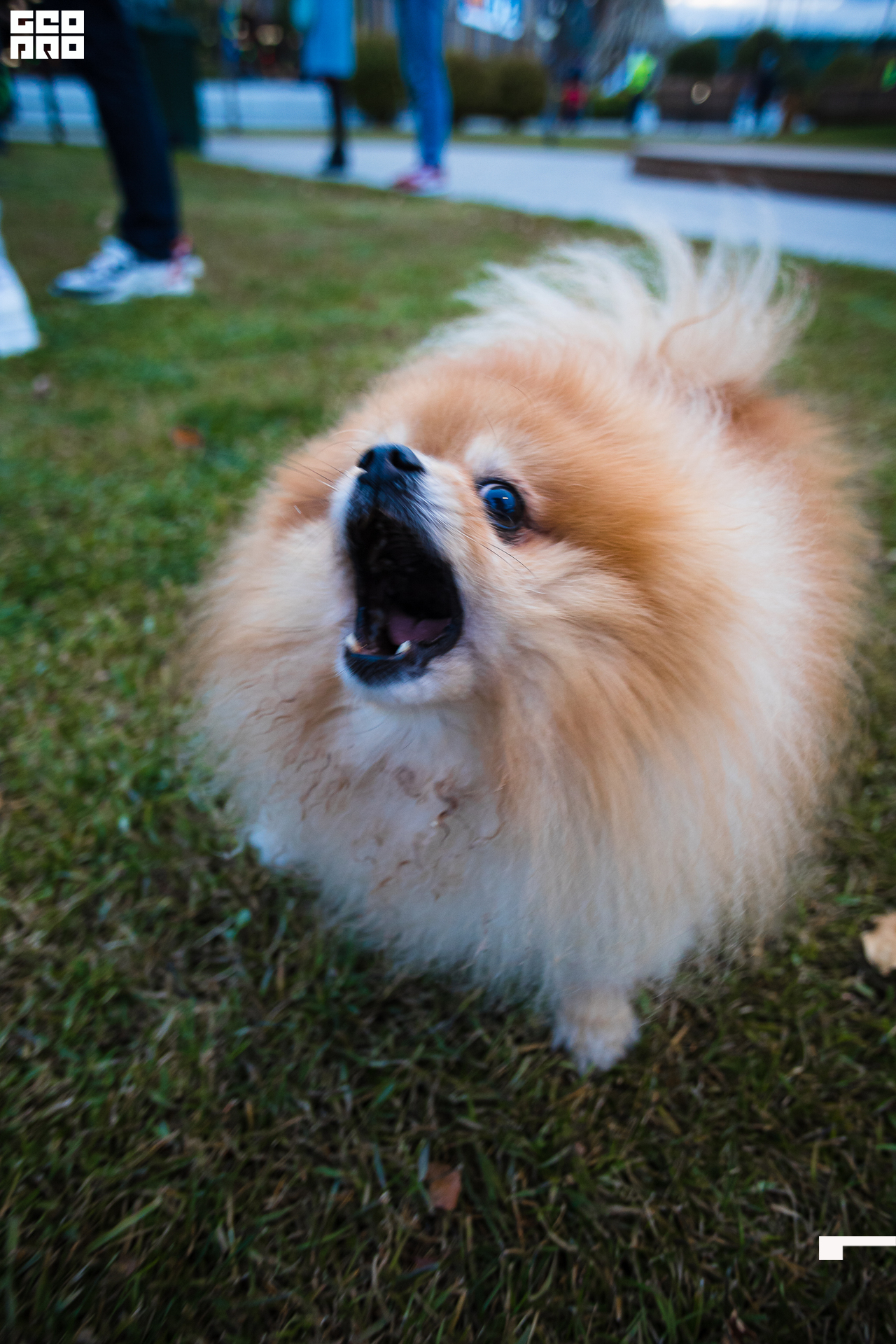 123-09-10-2021-16-01-Мега - Михайлов - 2560.jpg