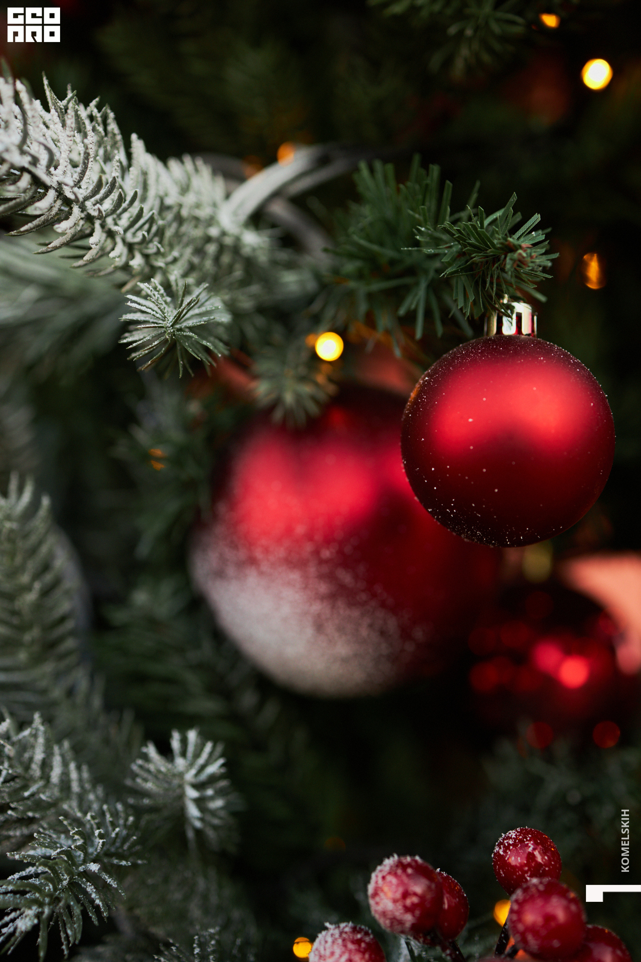 017-2022_12_03-14-03-42 - Komelskih.jpg