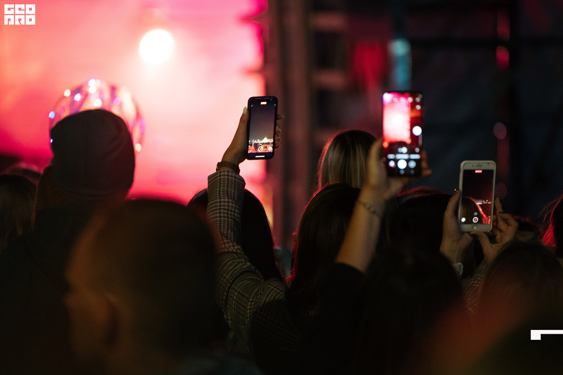  0223 20210828_ALV3959 копия.jpg