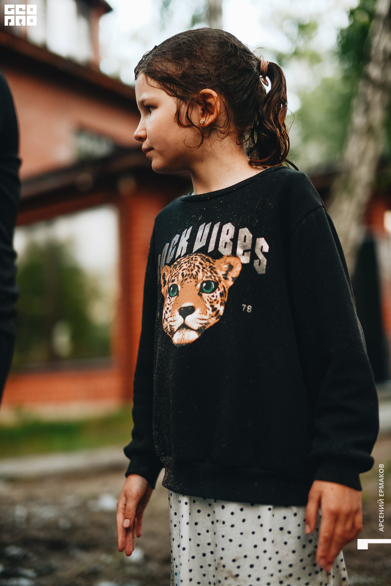 260 2022-06-11-204315_arseniyermakov.jpg