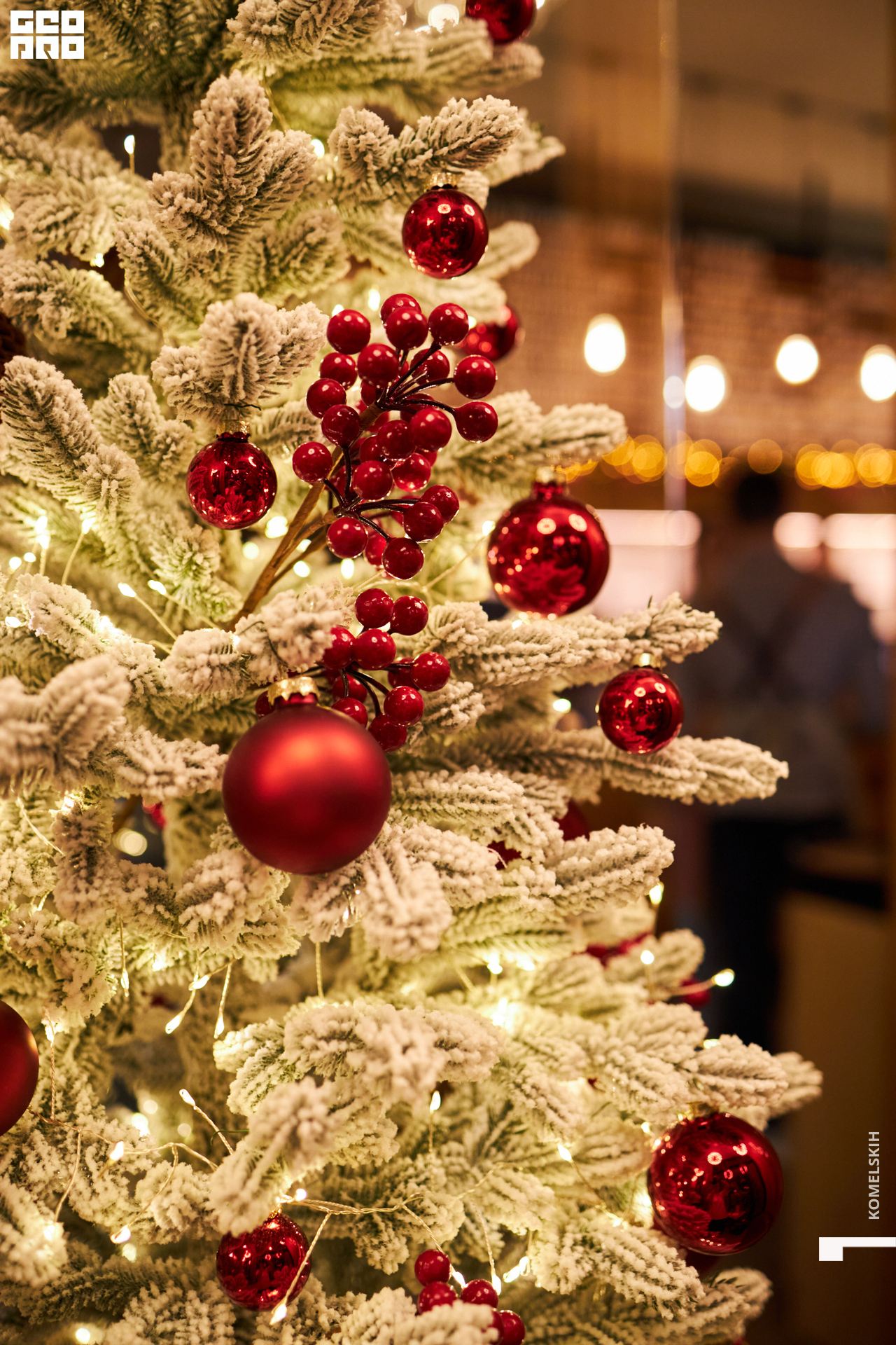 045-2022_12_02-19-35-46 - Komelskih.jpg