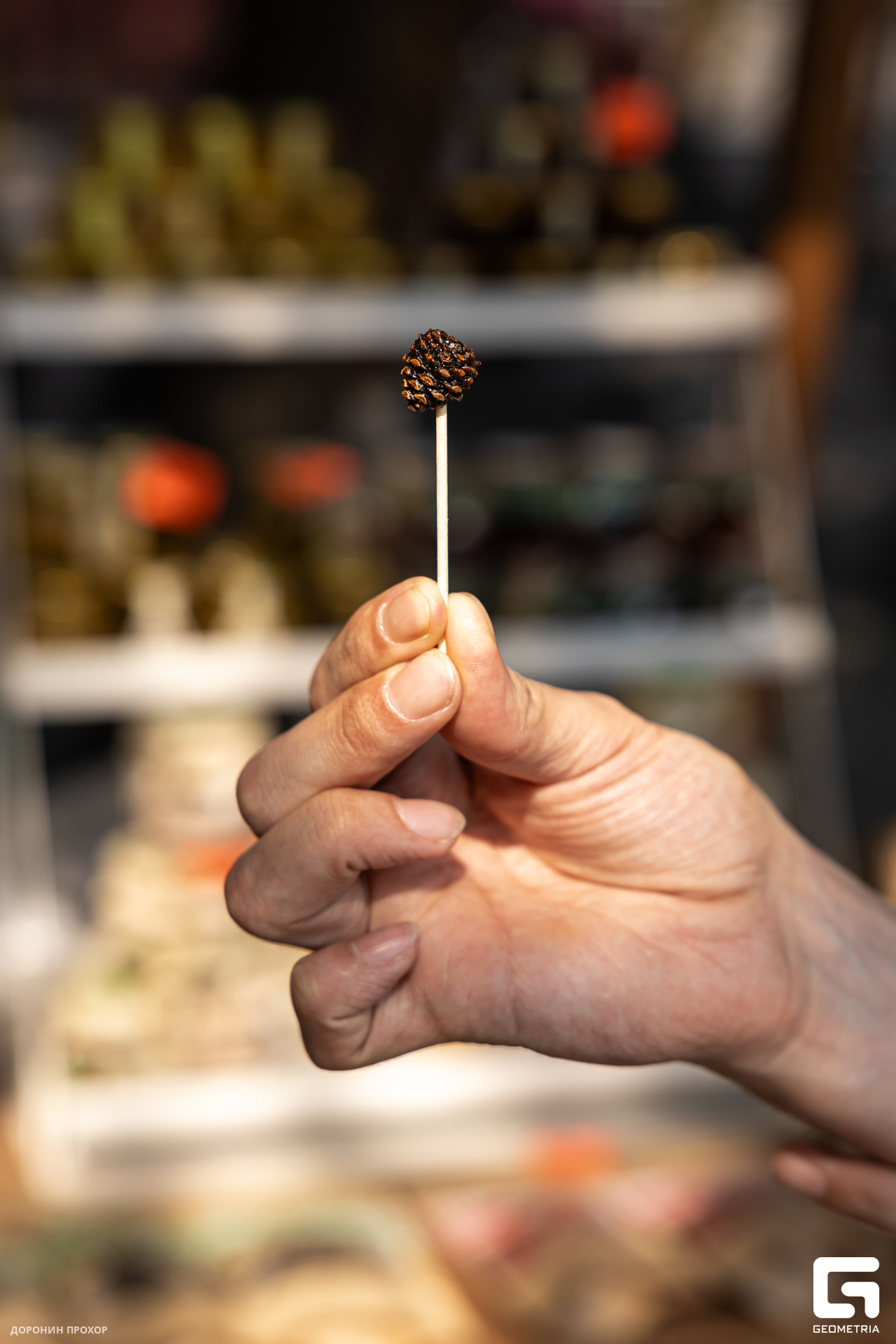 2024.06.16 Сытый Бабр 223.jpg