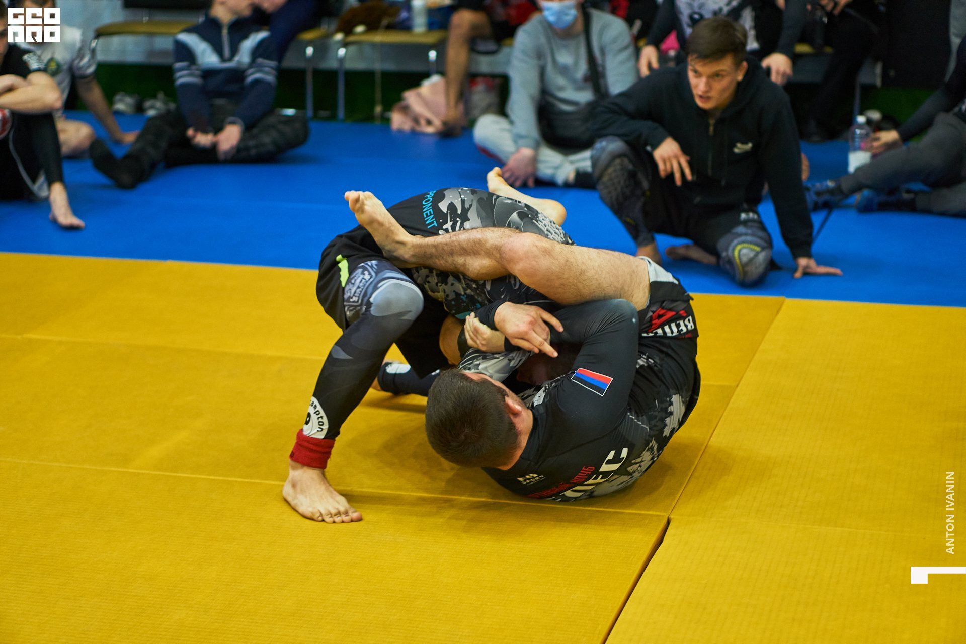 DSC09554 (Копировать).jpg