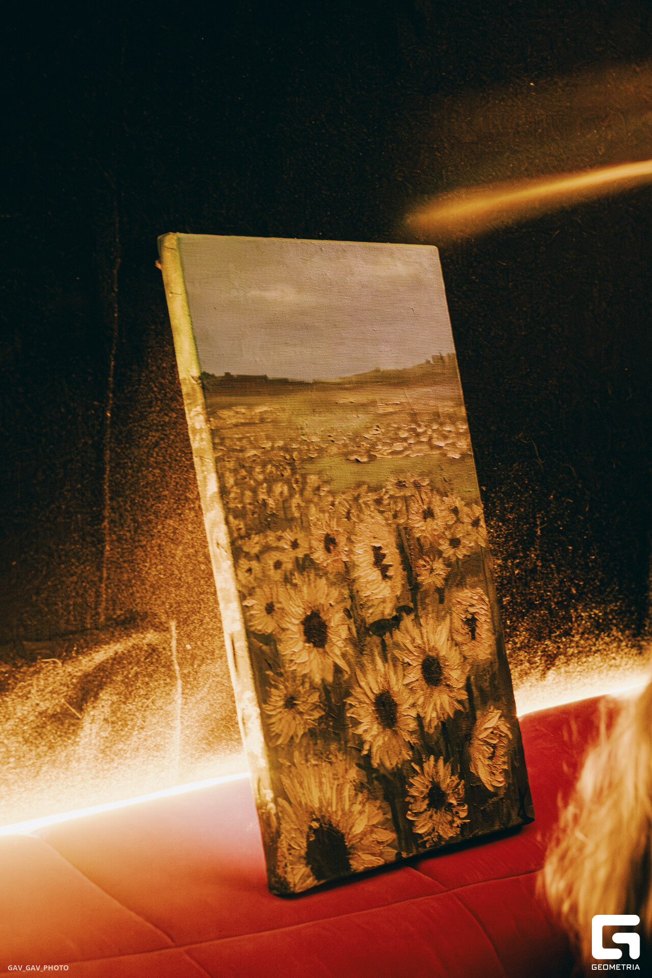 DSCF5788-Улучшено-Ум. шума.jpg