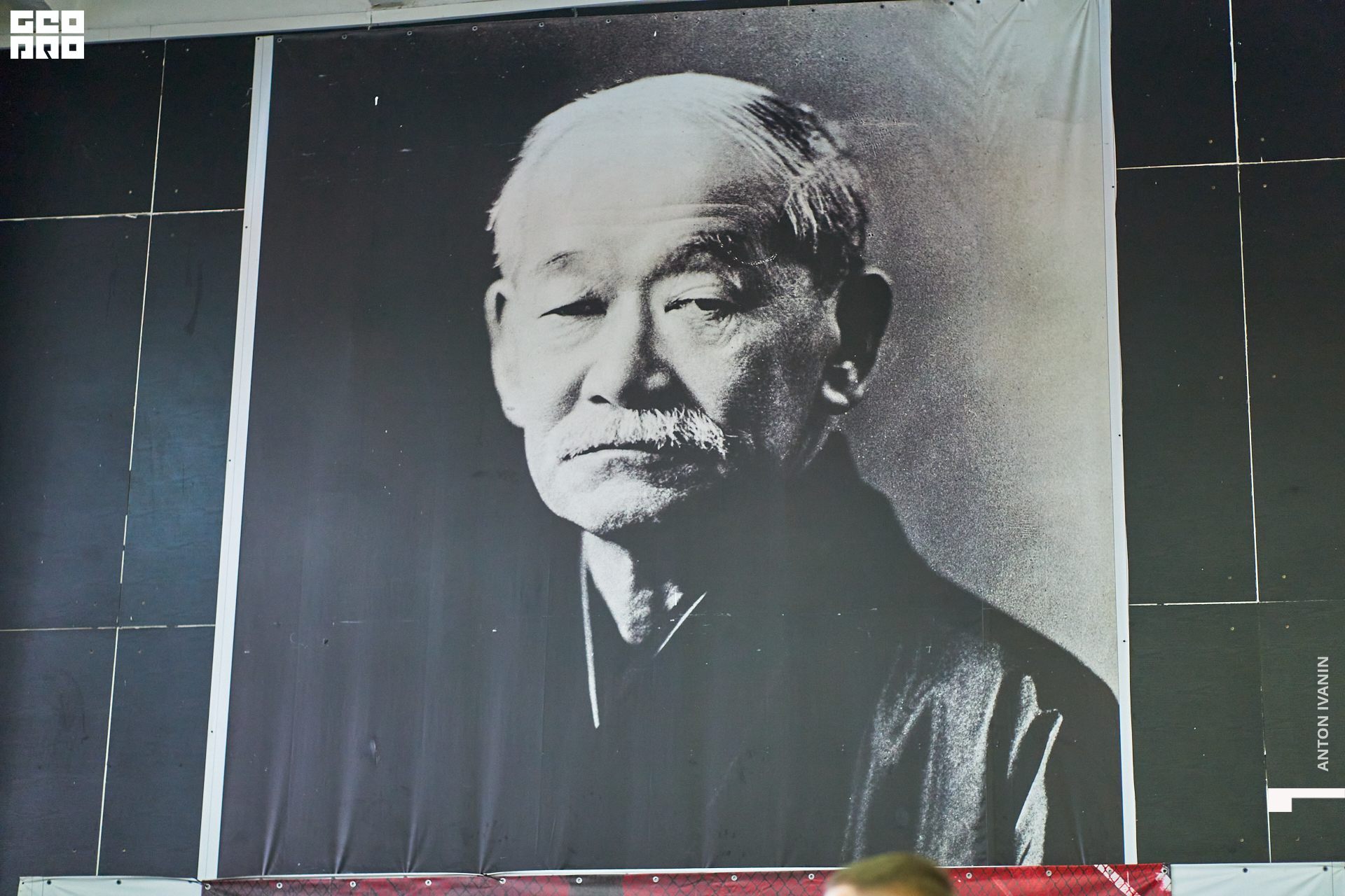 DSC08721 (Копировать).jpg