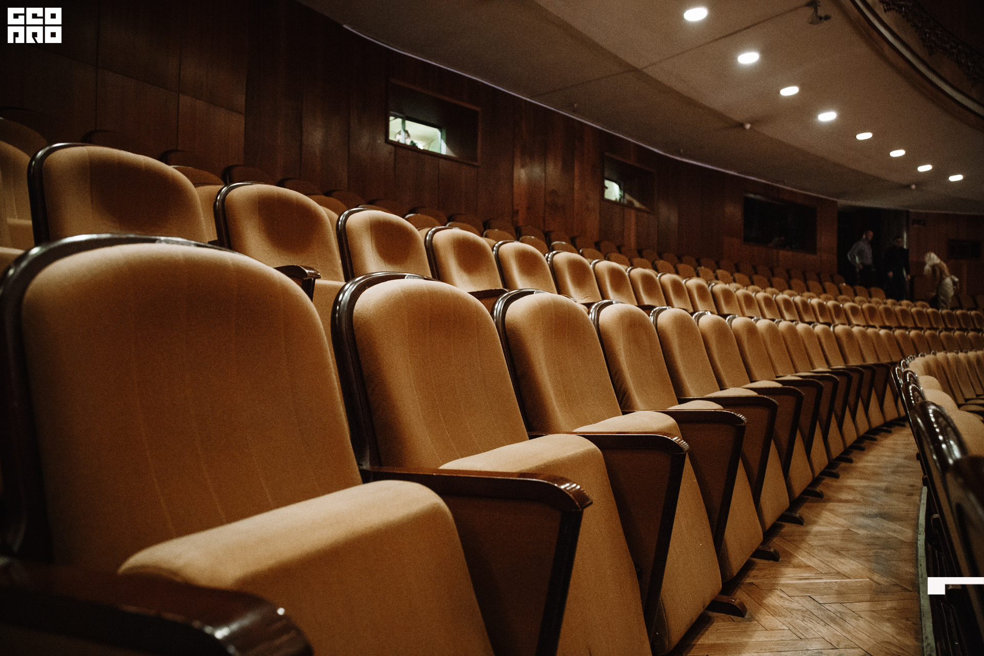 2021-11-23 21-42-53_Швец.jpg