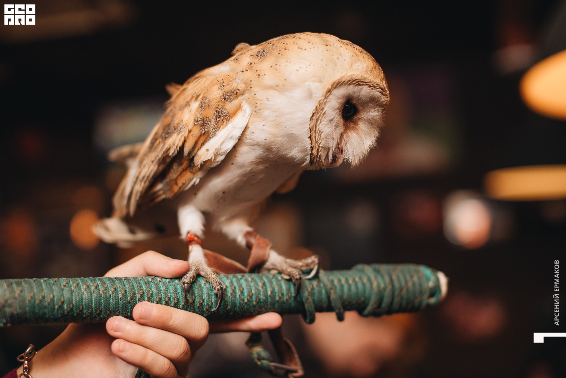 091 2022-09-05-011209_arseniyermakov.jpg