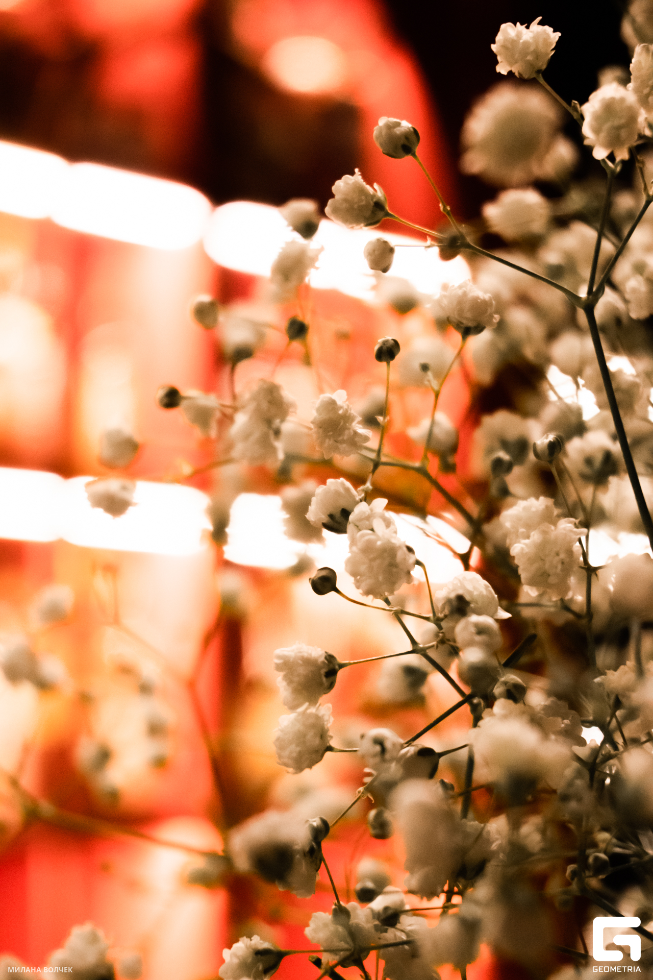 029_20231027 Волчек.jpg