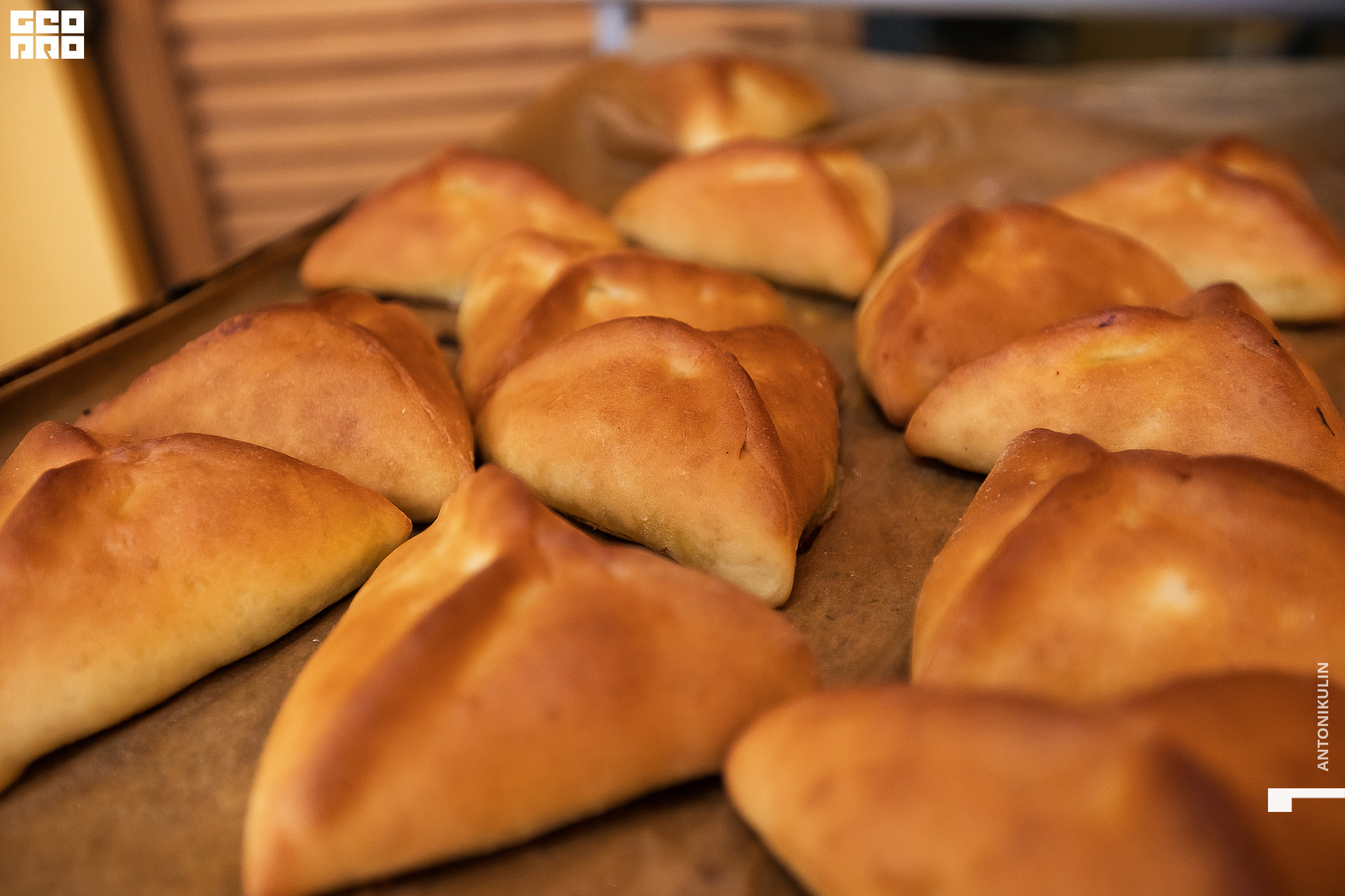 untitled shoot-9839.jpg