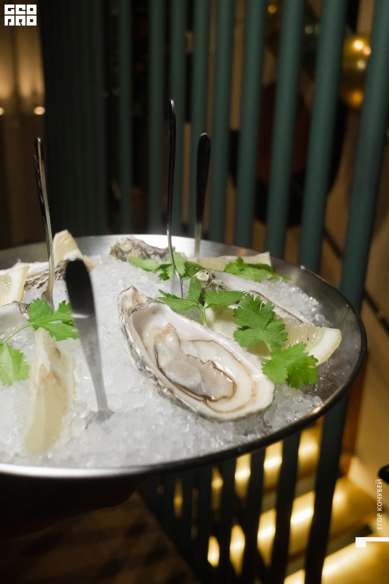 221001 Кочубей 048.jpg