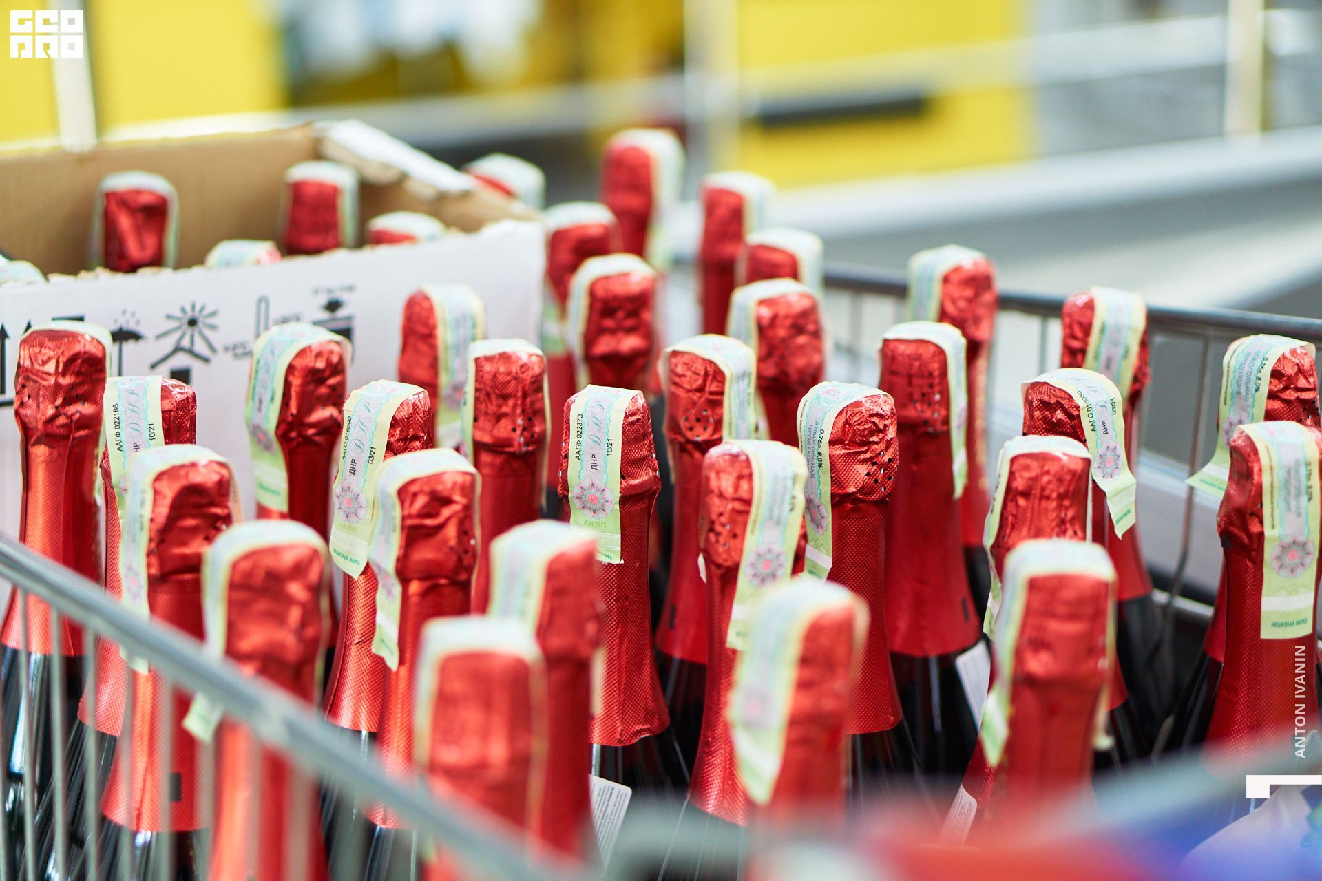 DSC08966 (Копировать).jpg