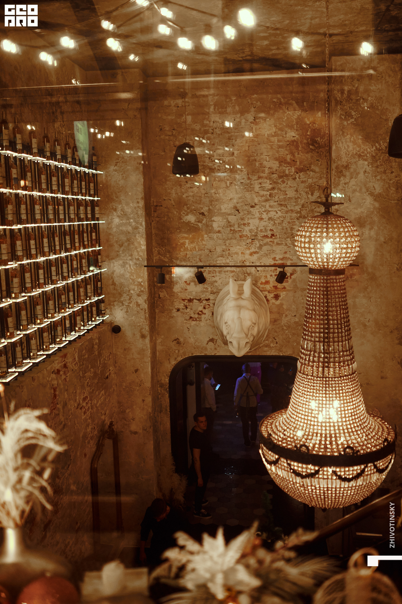 003_01-01-22_1-04 _Zhivotinsky.jpg