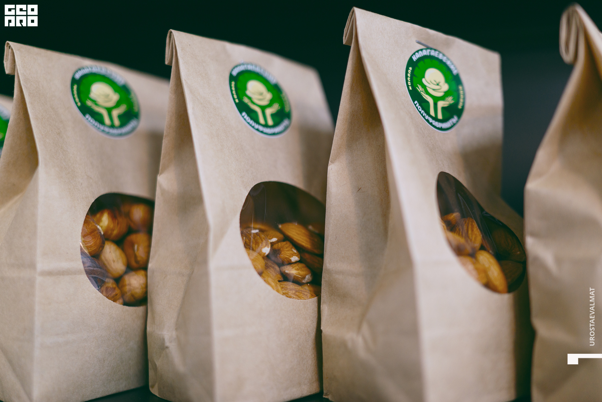 без имени-42.jpg