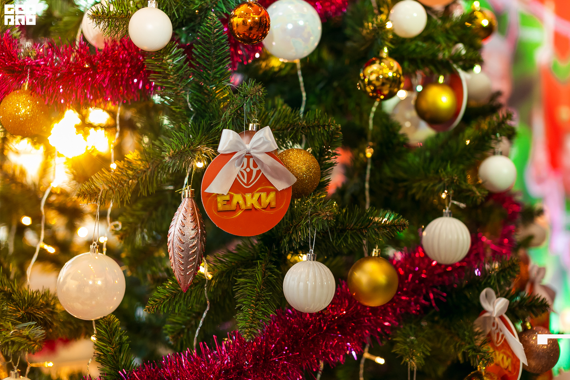 070-20211211-38-11.12.21 - Ёлки.jpg