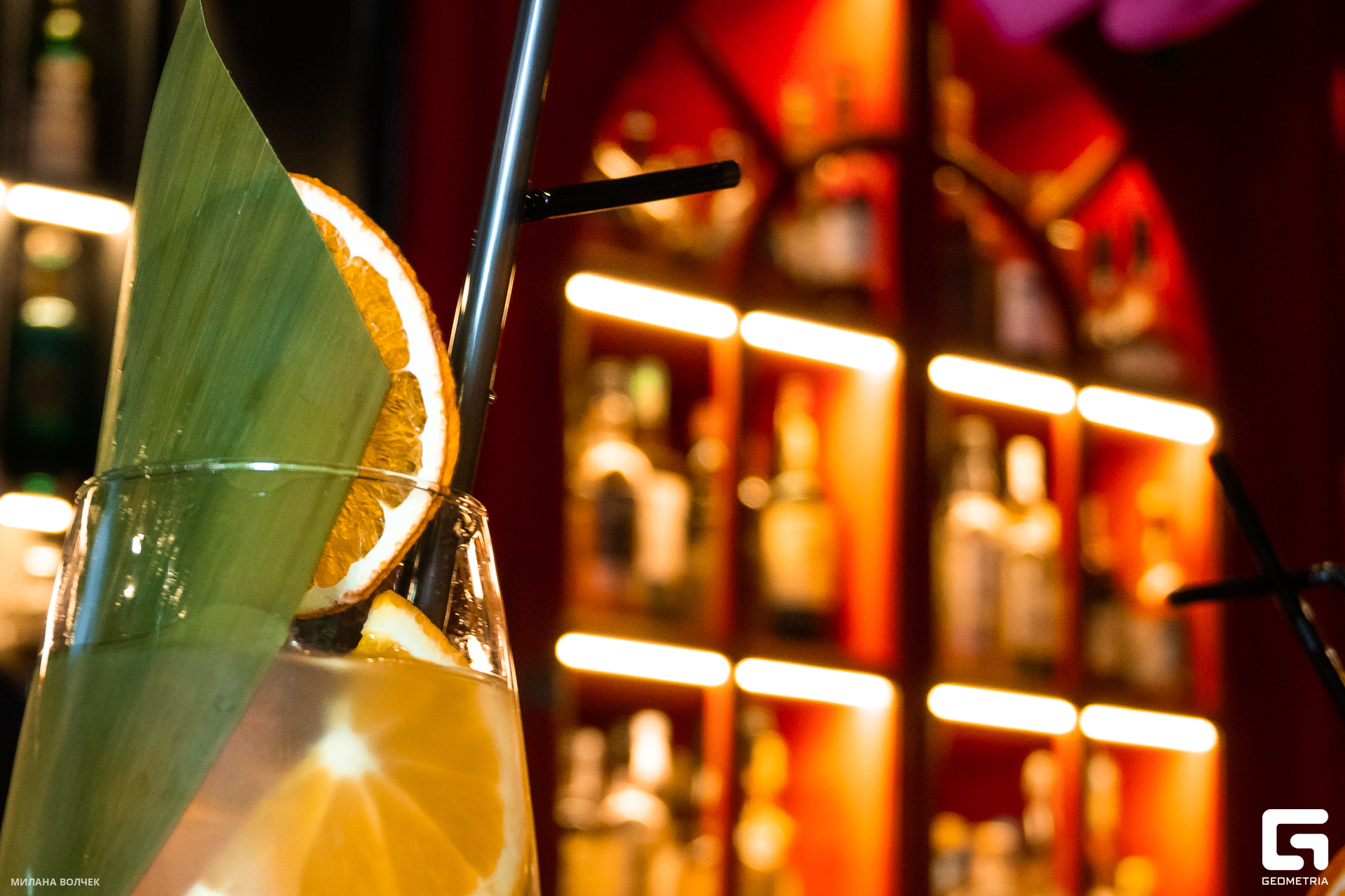 041_20231201 Волчек.jpg