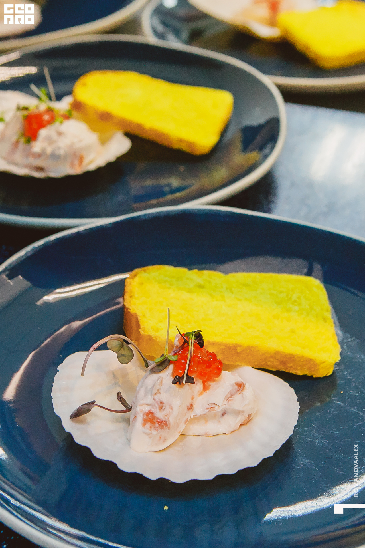 034 201122  195225 @romanovaalex.jpg