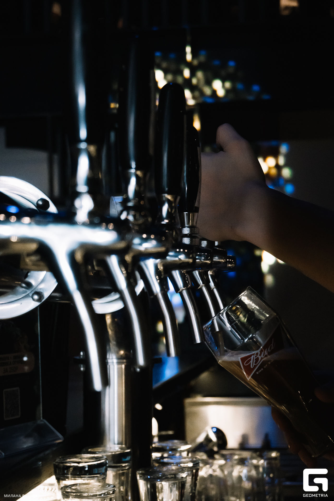 078_20231117 Волчек.jpg