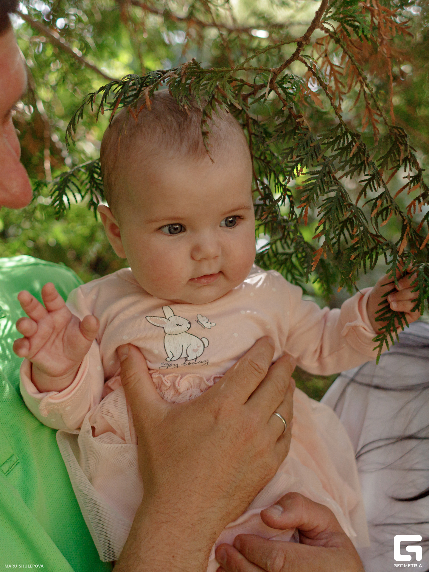 домик мечты-235.jpg