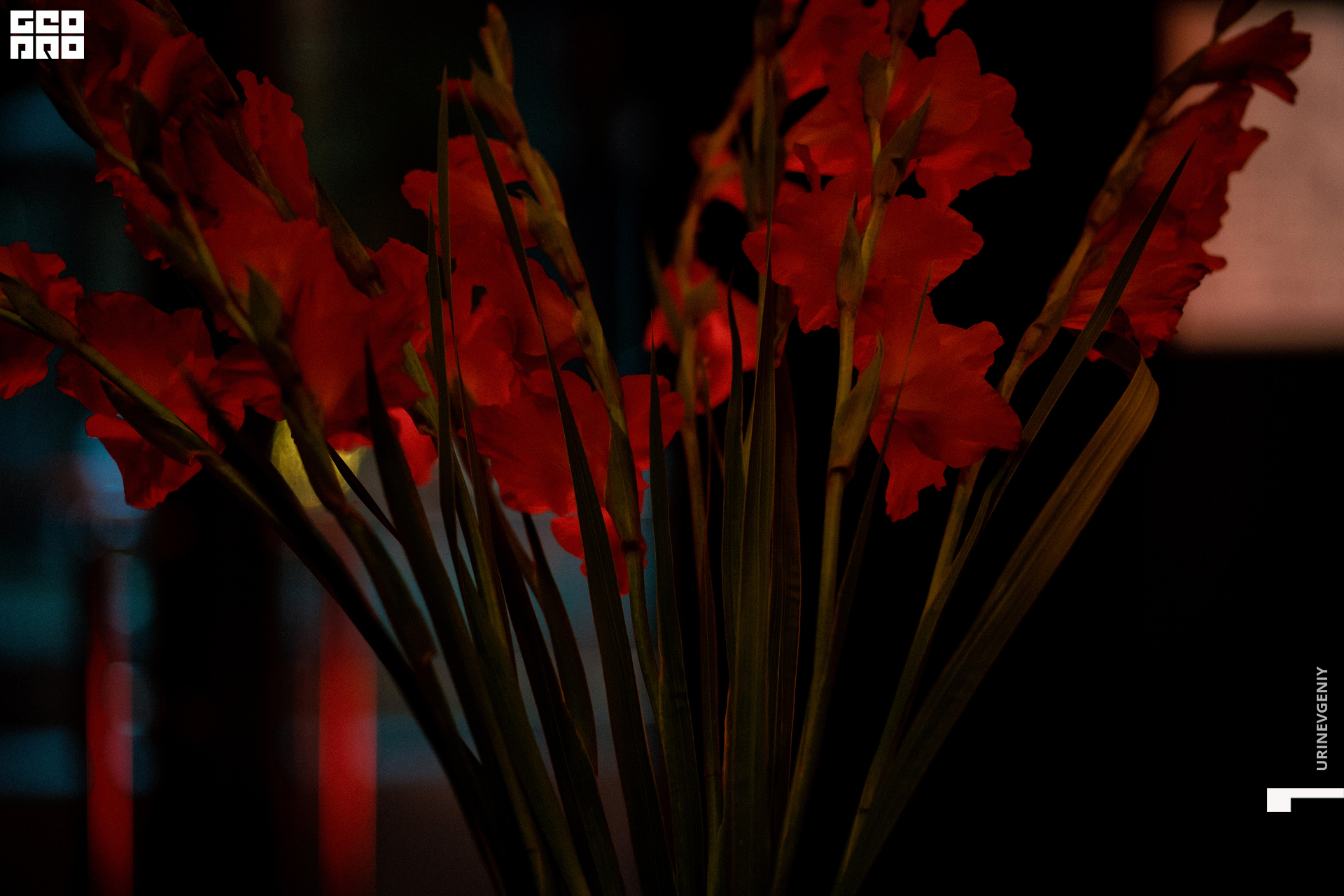 20.08. Крабы Кебабы (2).jpg