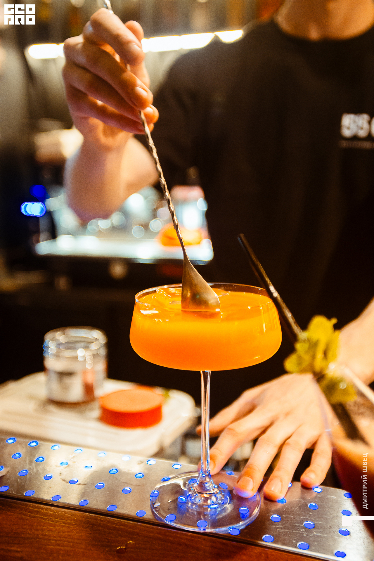 2021-12-15 20-33-34_Швец.jpg