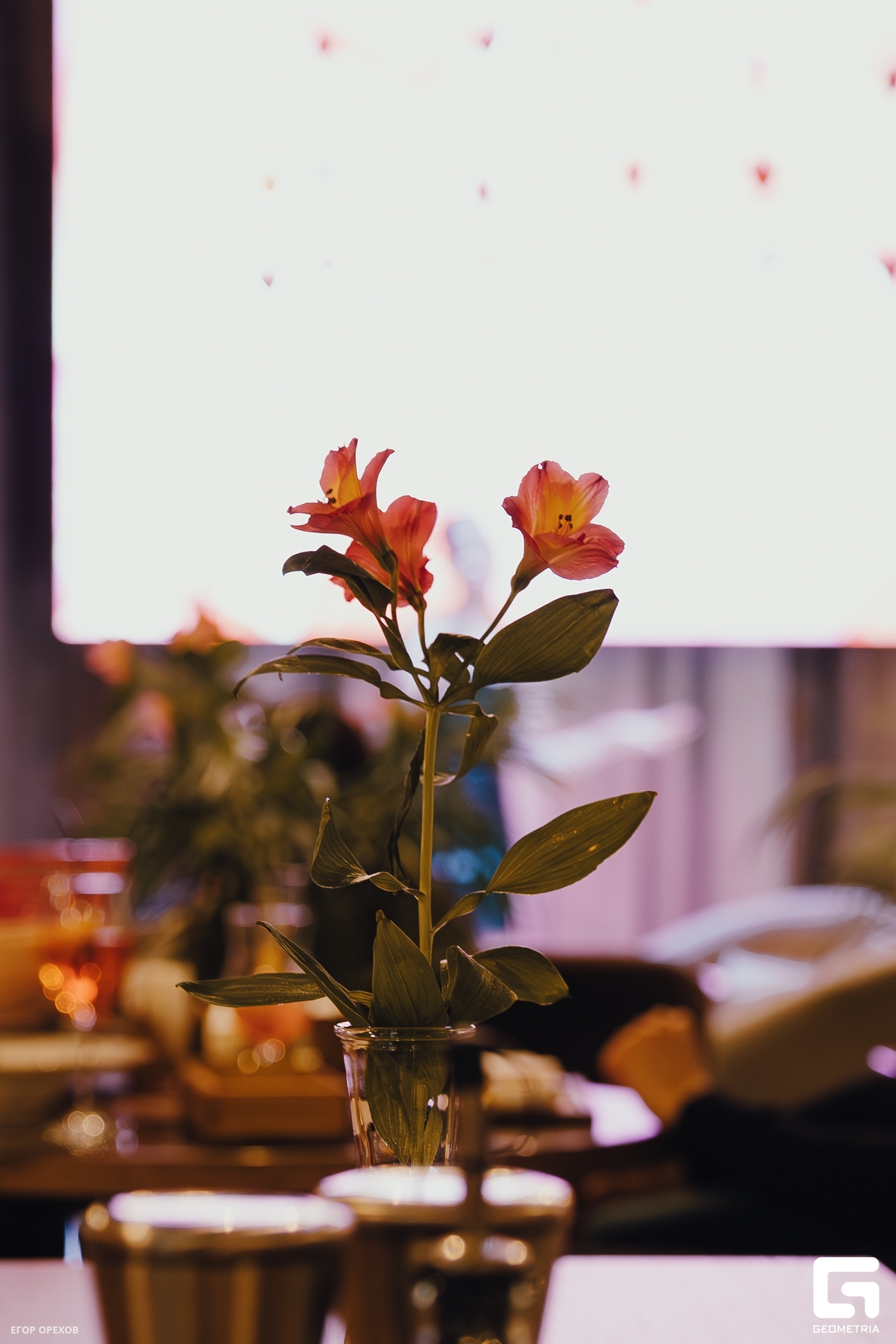 DSC05480-Улучшено-Ум. шума.jpg