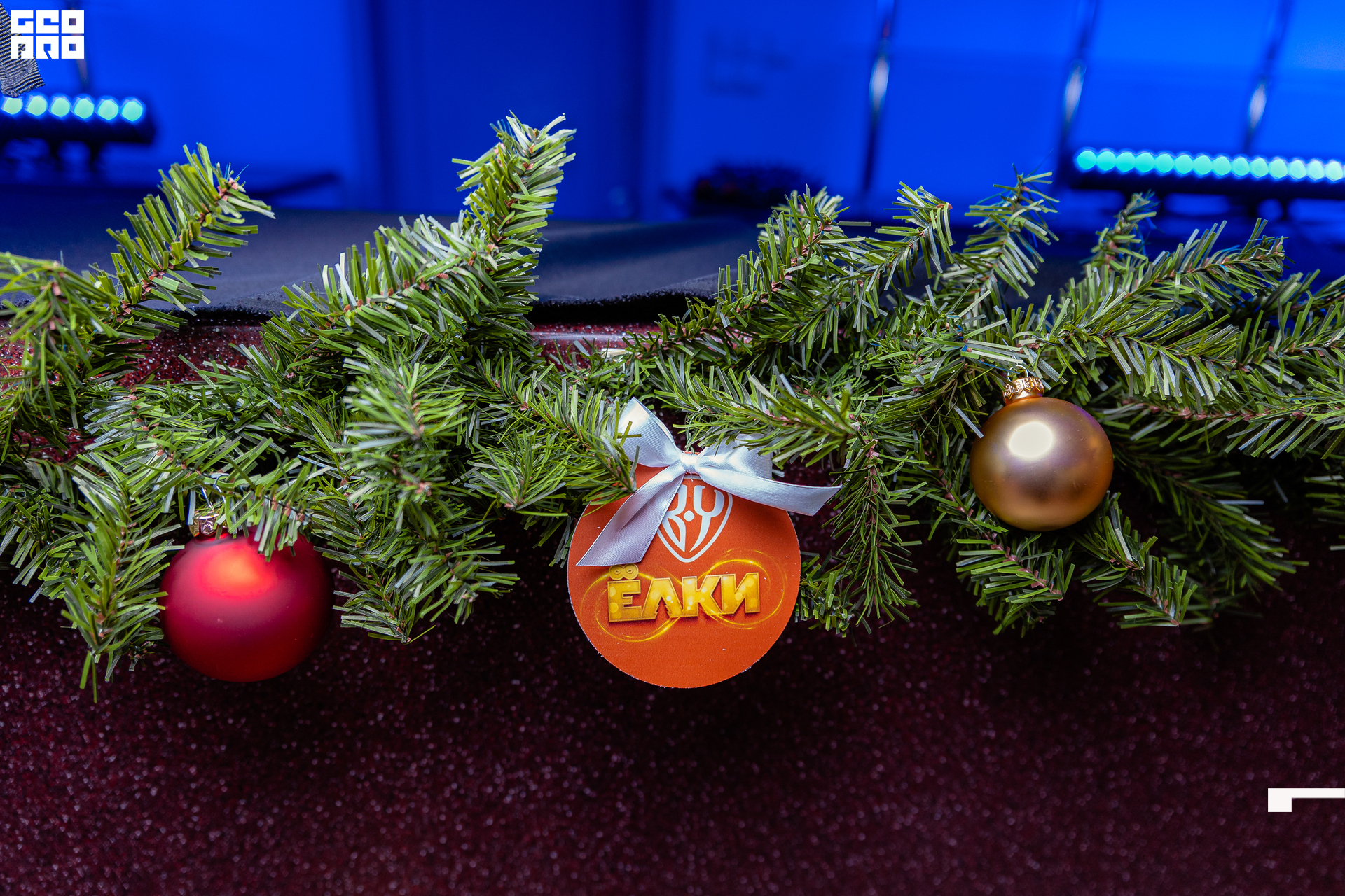 108-20211211-22-11.12.21 - Ёлки.jpg