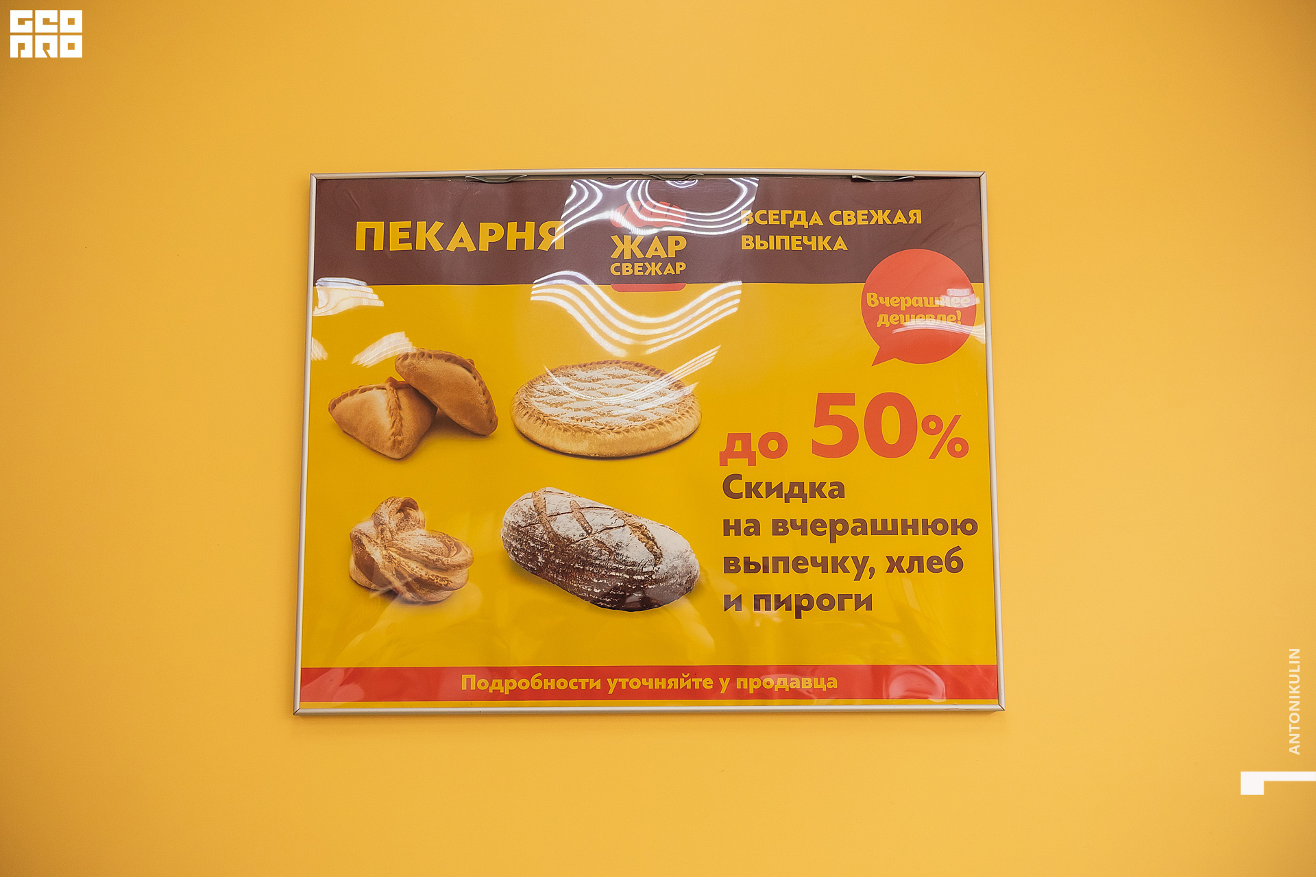 untitled shoot-5515.jpg