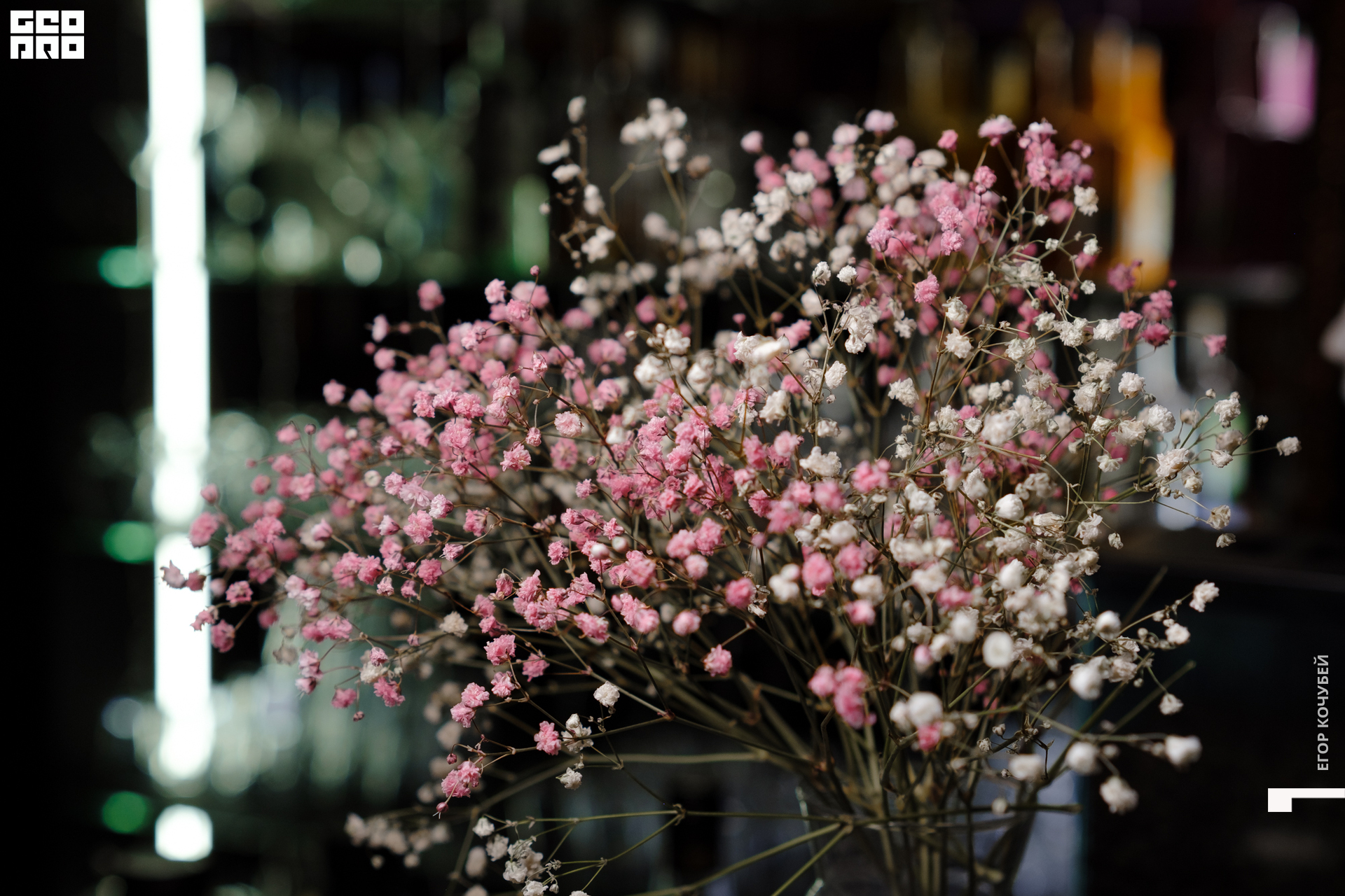 221231 Кочубей 065.jpg