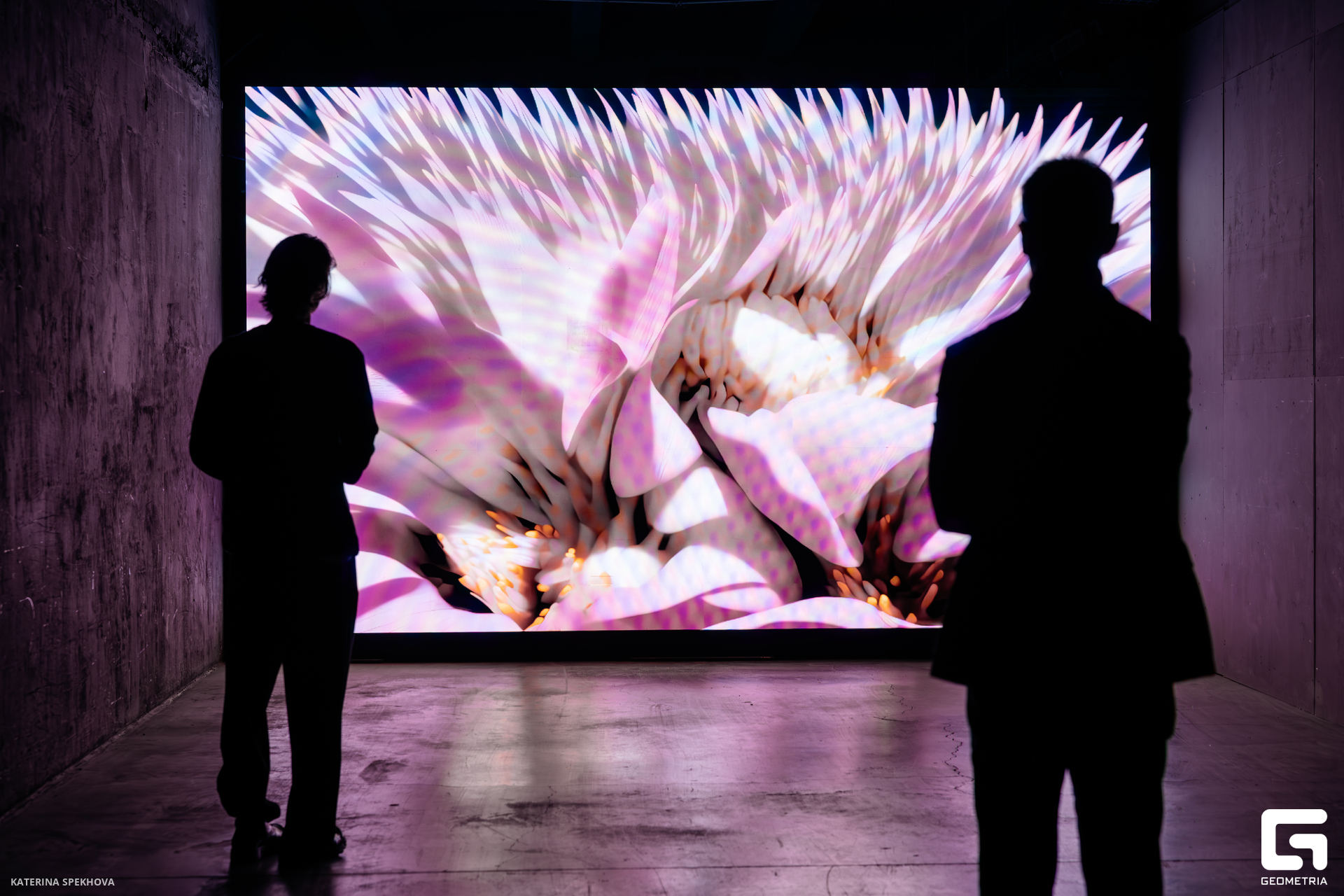 0J2A3985-Улучшено-Ум. шума.jpg