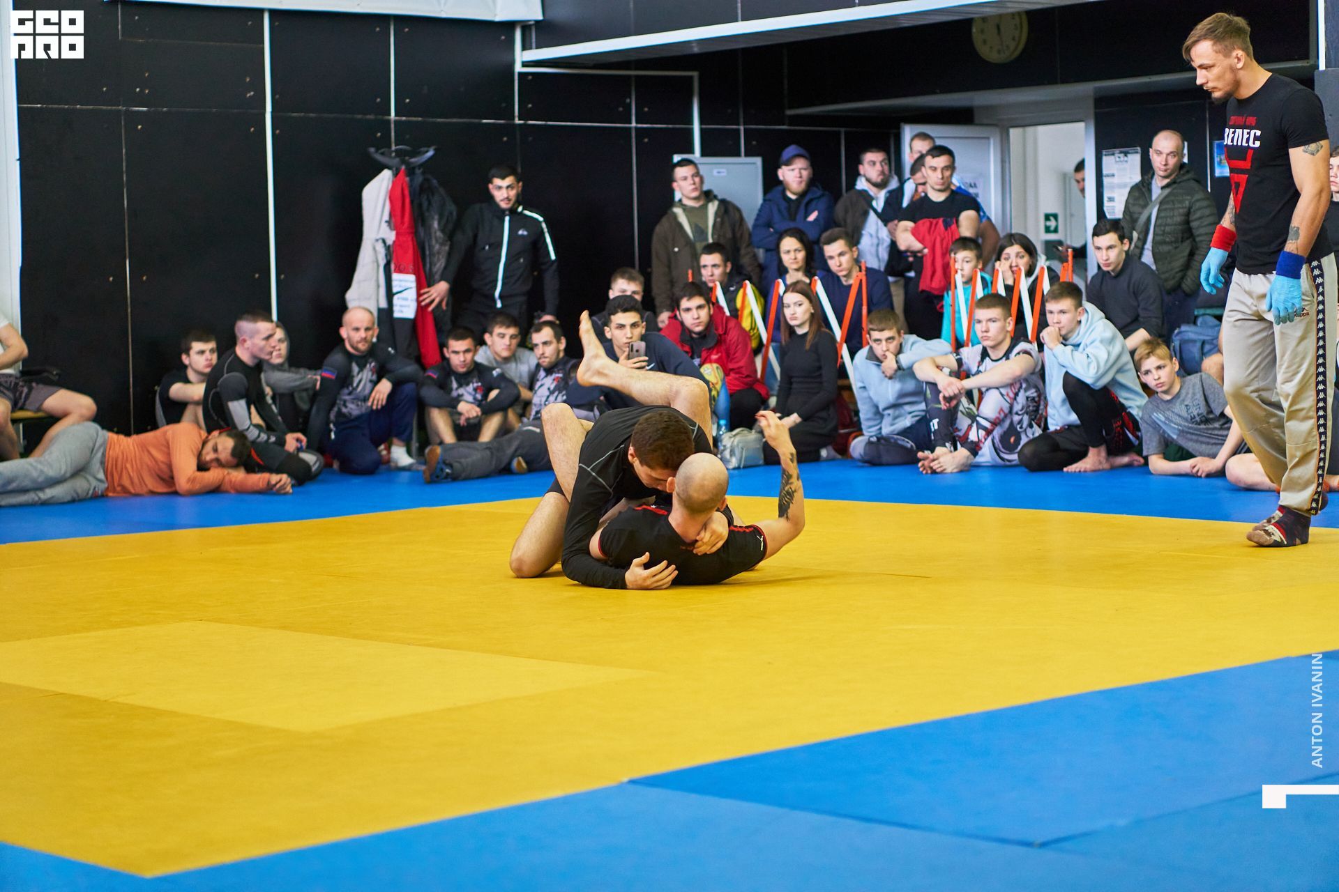 DSC08610 (Копировать).jpg