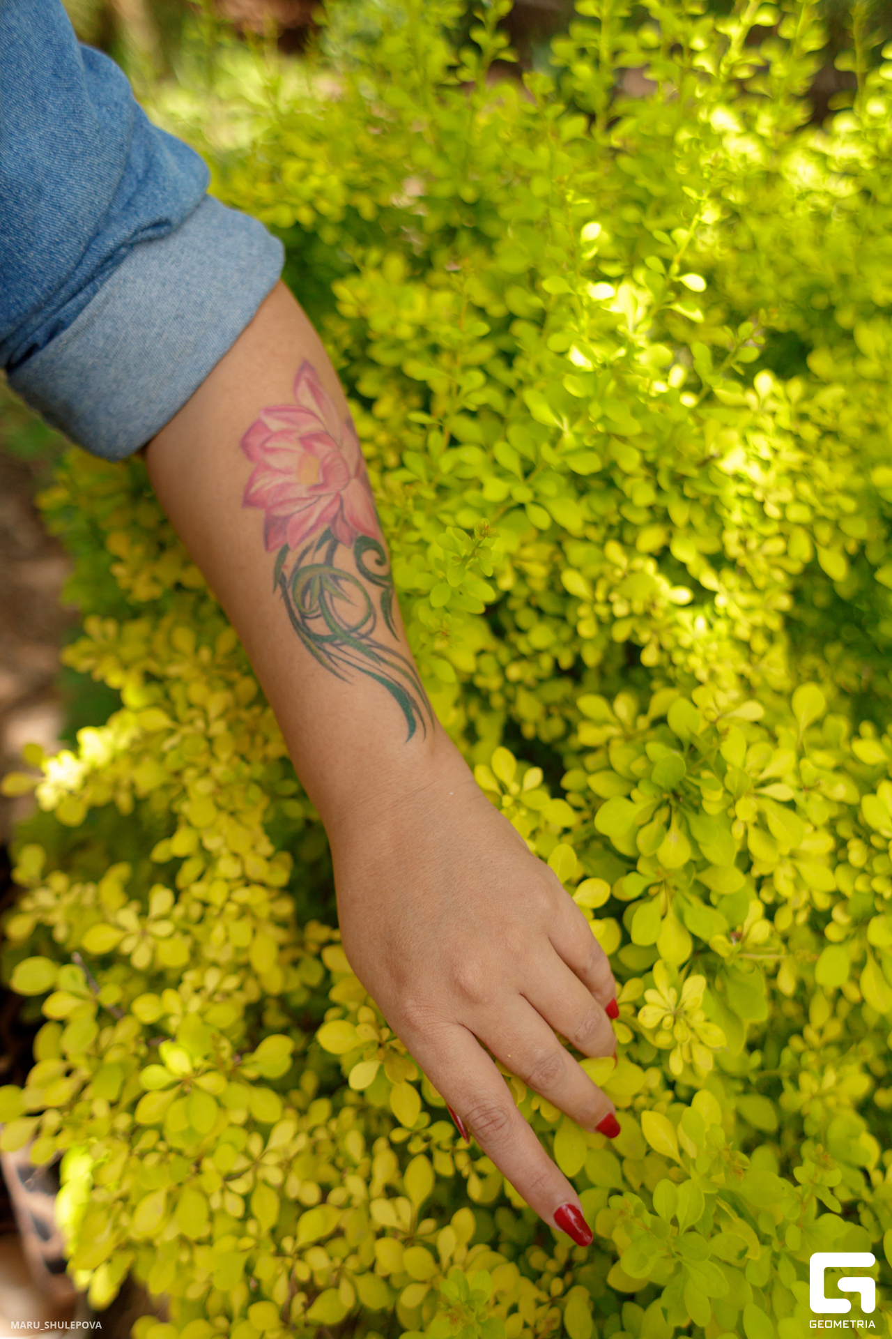 домик мечты-258.jpg