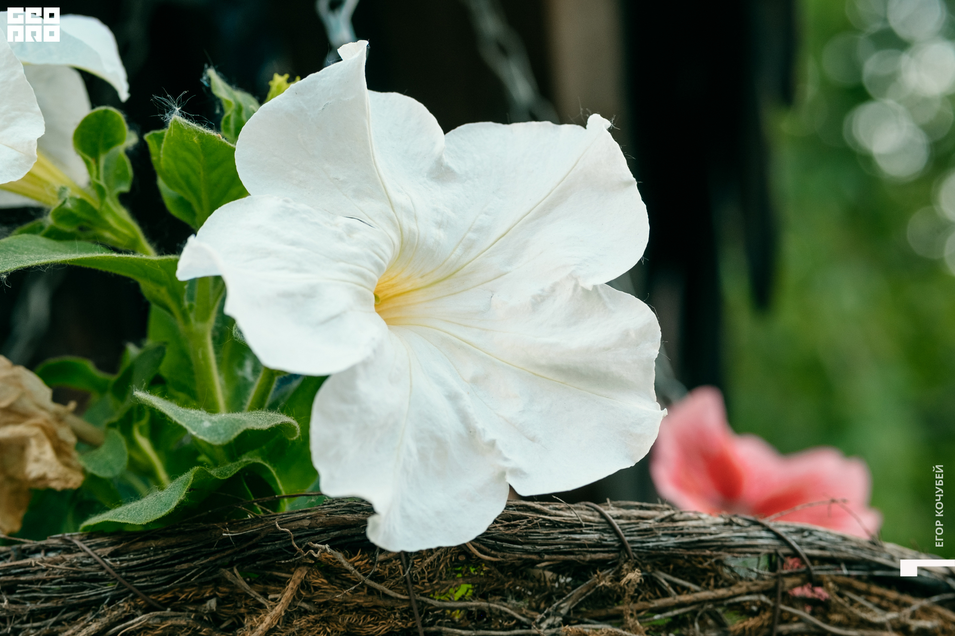 220602 Кочубей 046.jpg