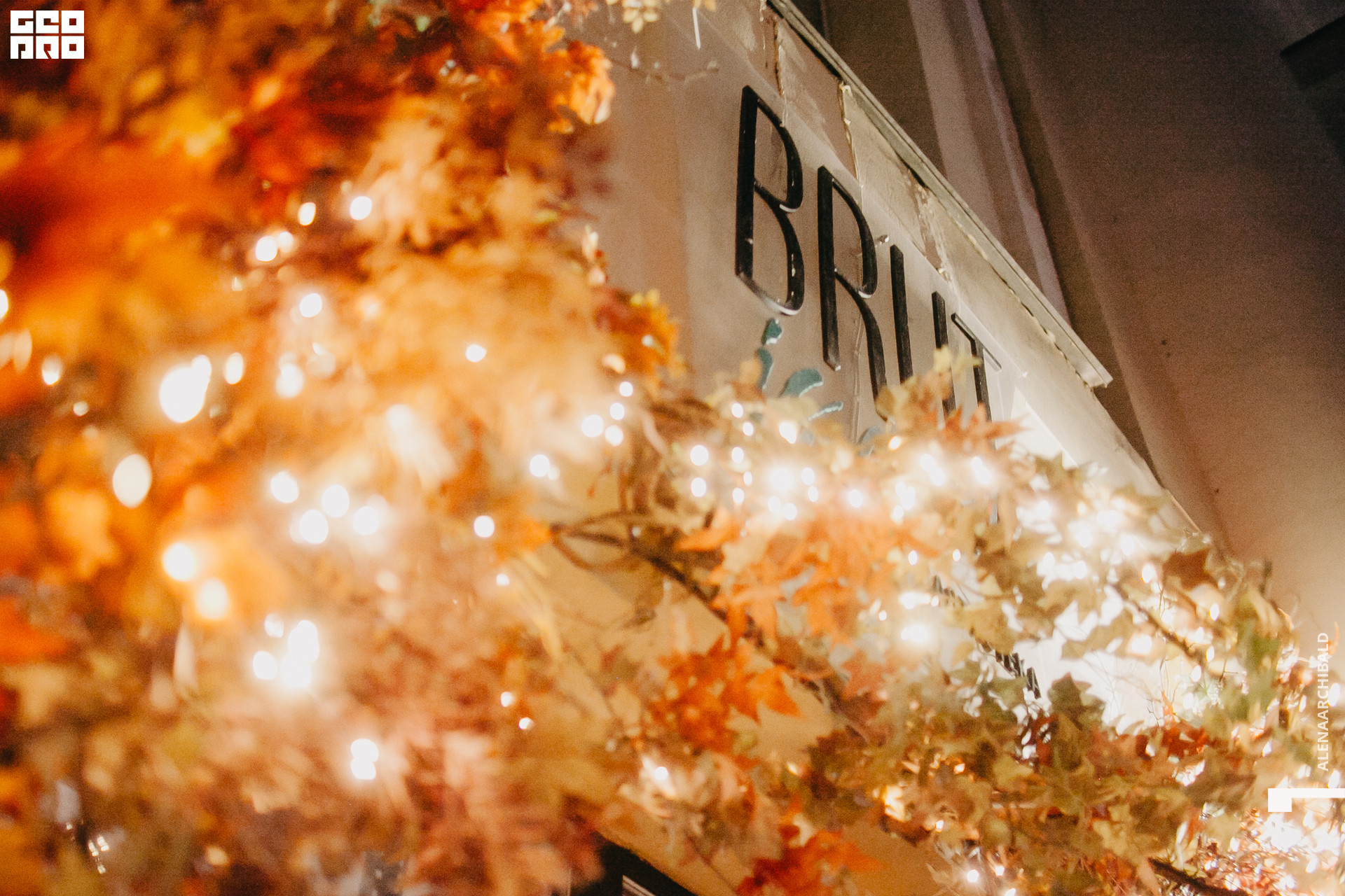 2022-10-07 22-17-51_alenaarchibald082.JPG